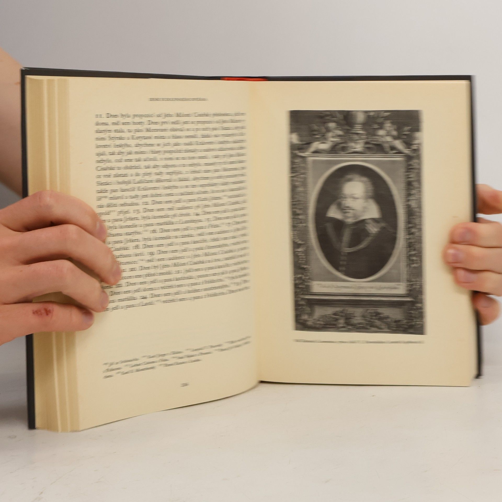 Marie Koldinská Deník rudolfinského dvořana