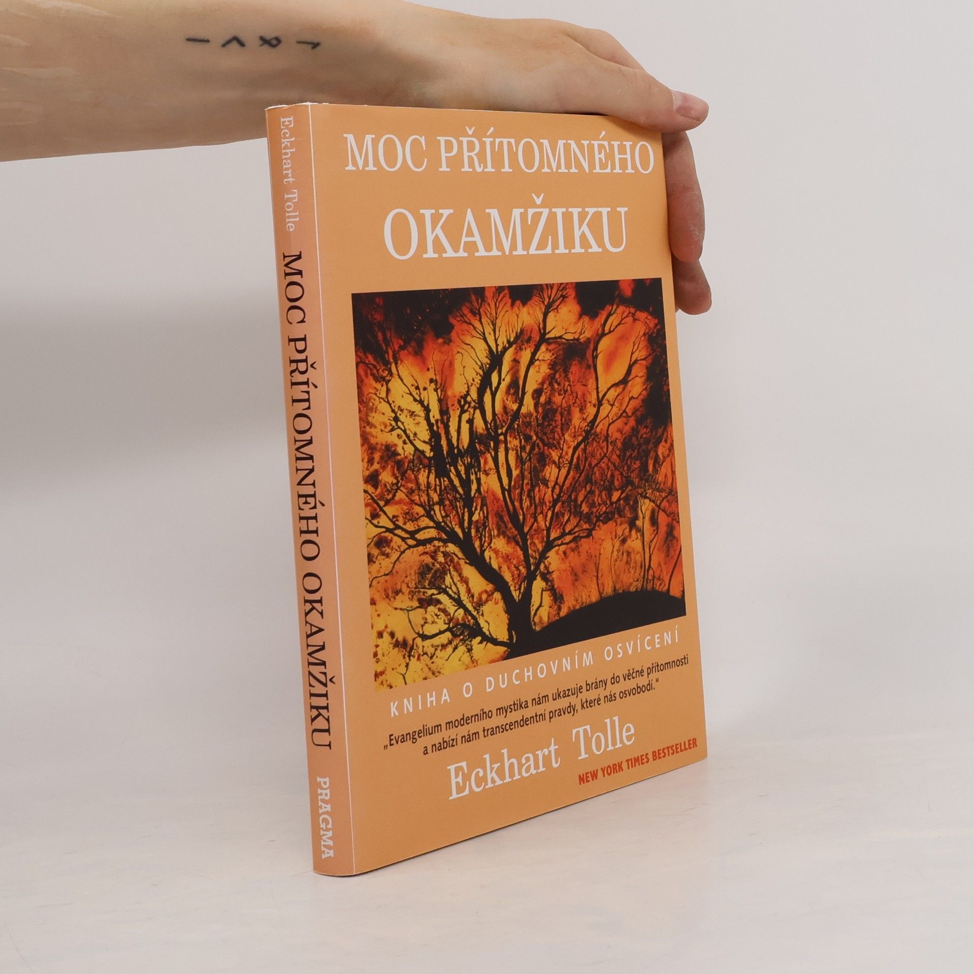 Eckhart Tolle Moc přítomného okamžiku