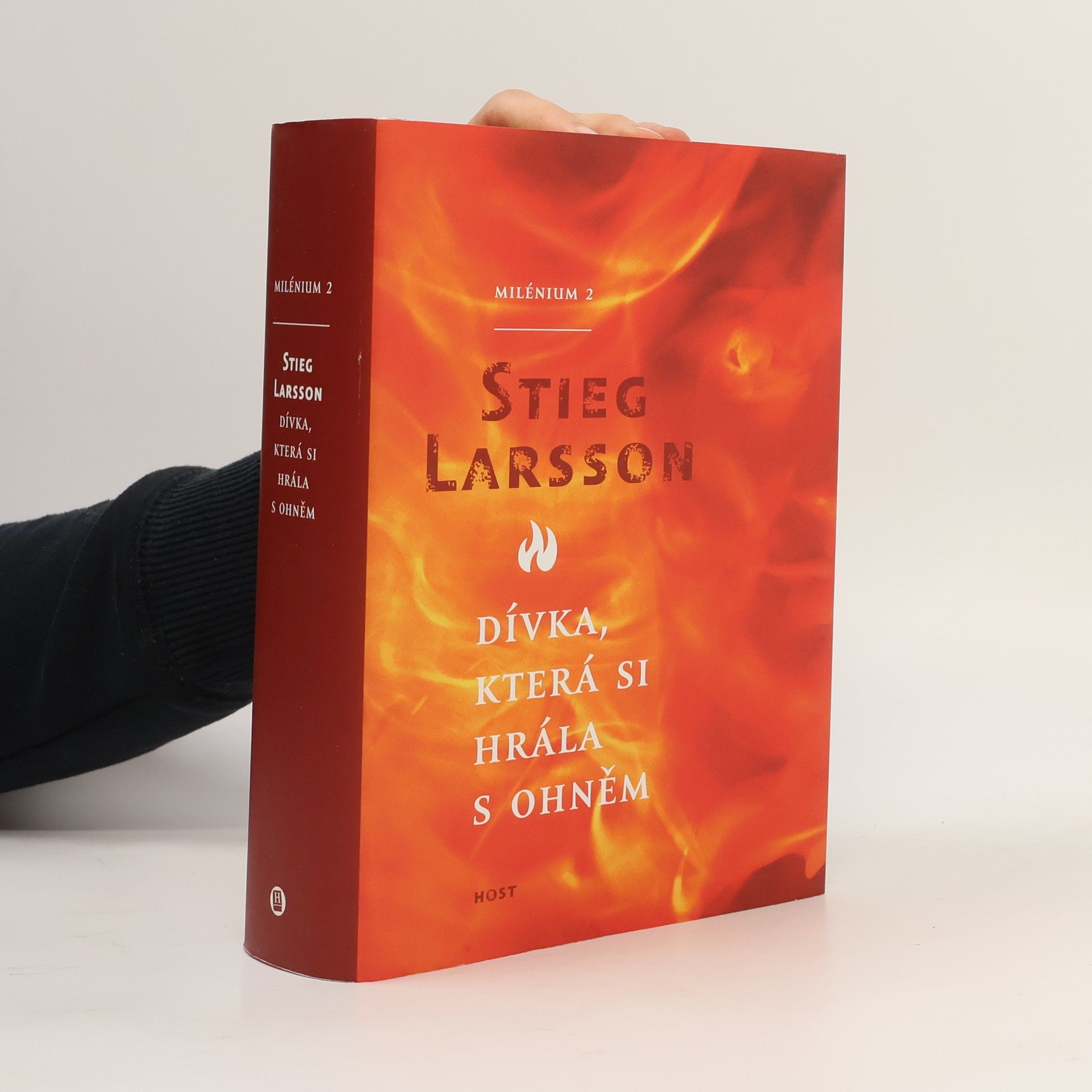 Stieg Larsson Dívka, která si hrála s ohněm