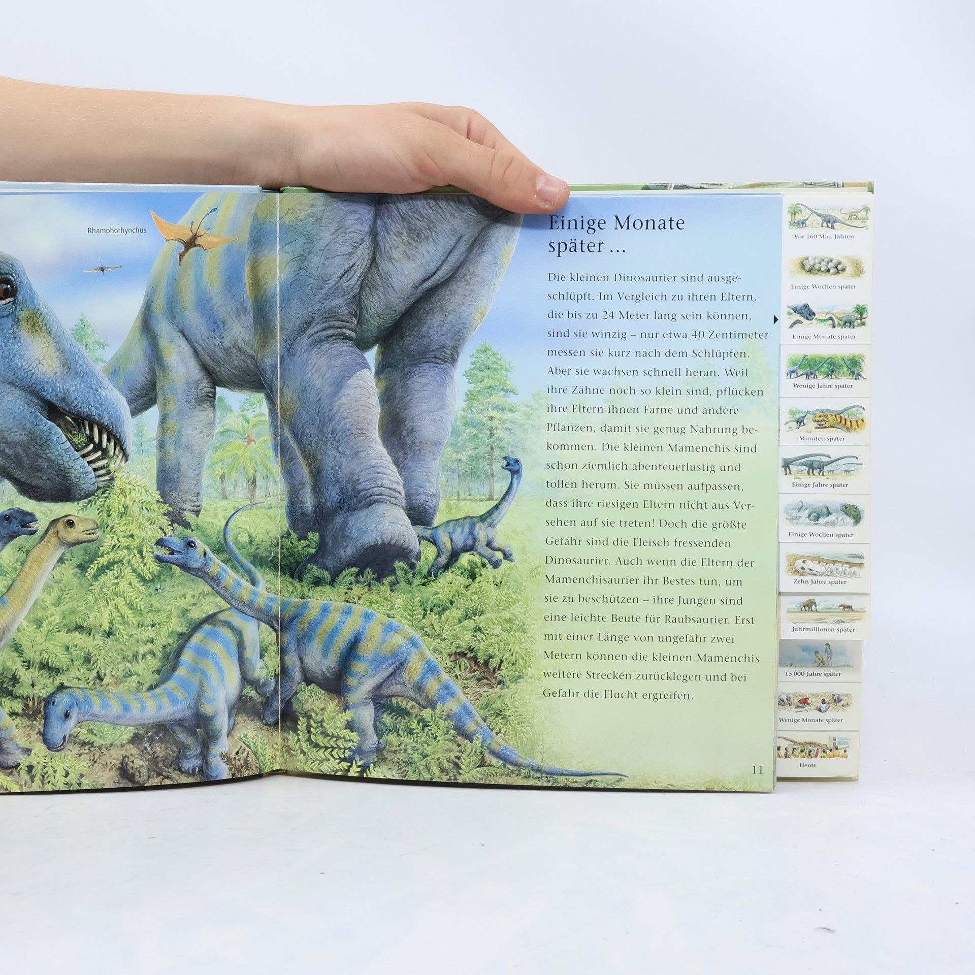 Nicholas Harris Die Spuren der Dinosaurier