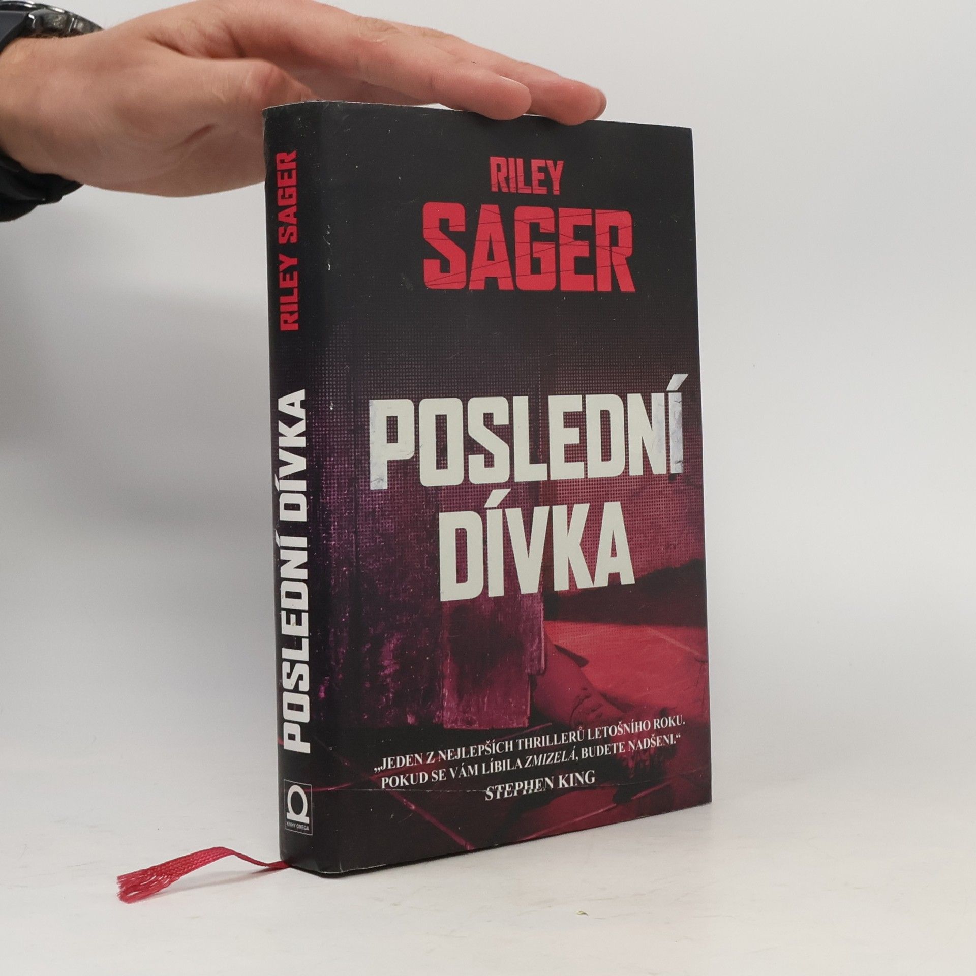Todd Ritter Poslední dívka