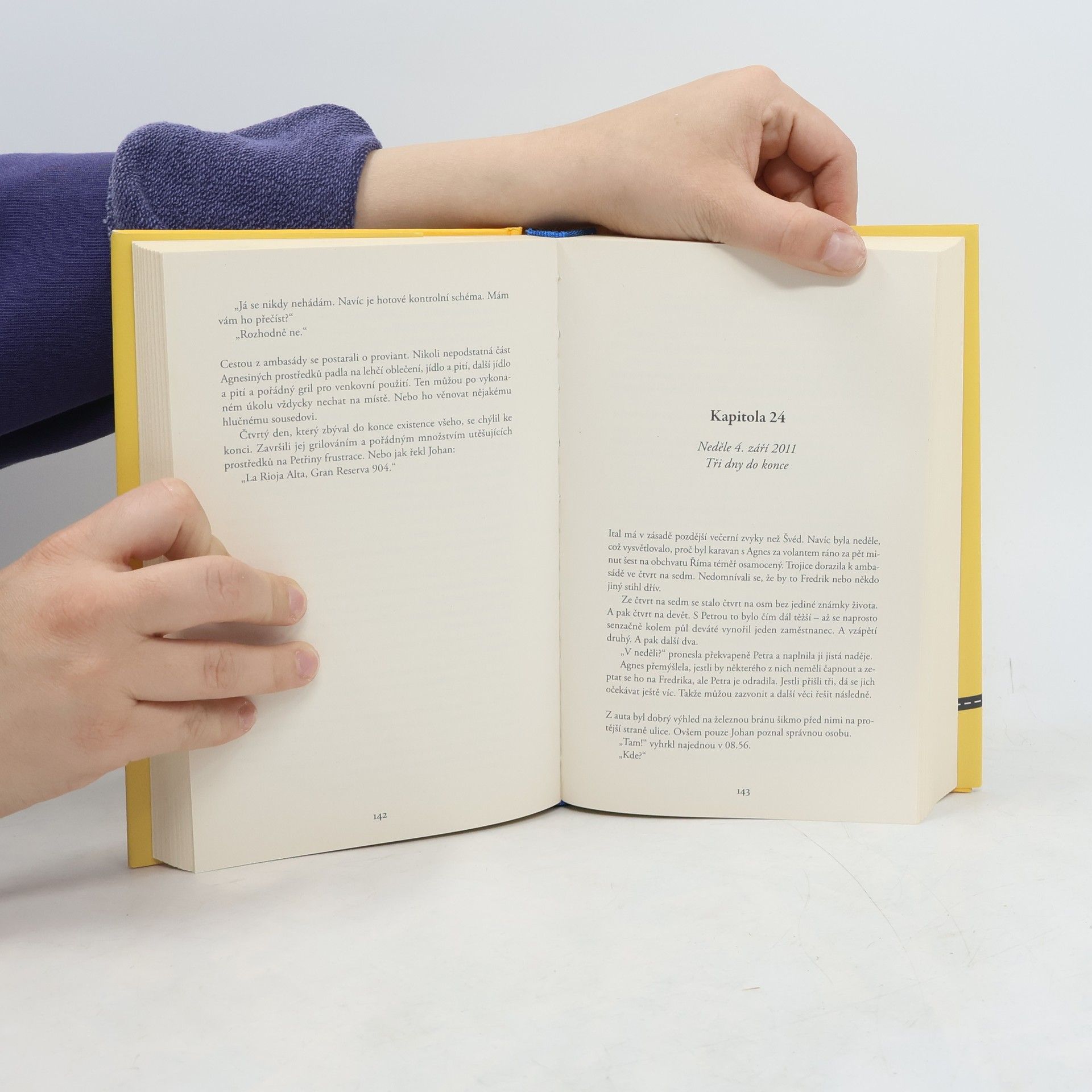 Jonas Jonasson Prorokyně a hlupák