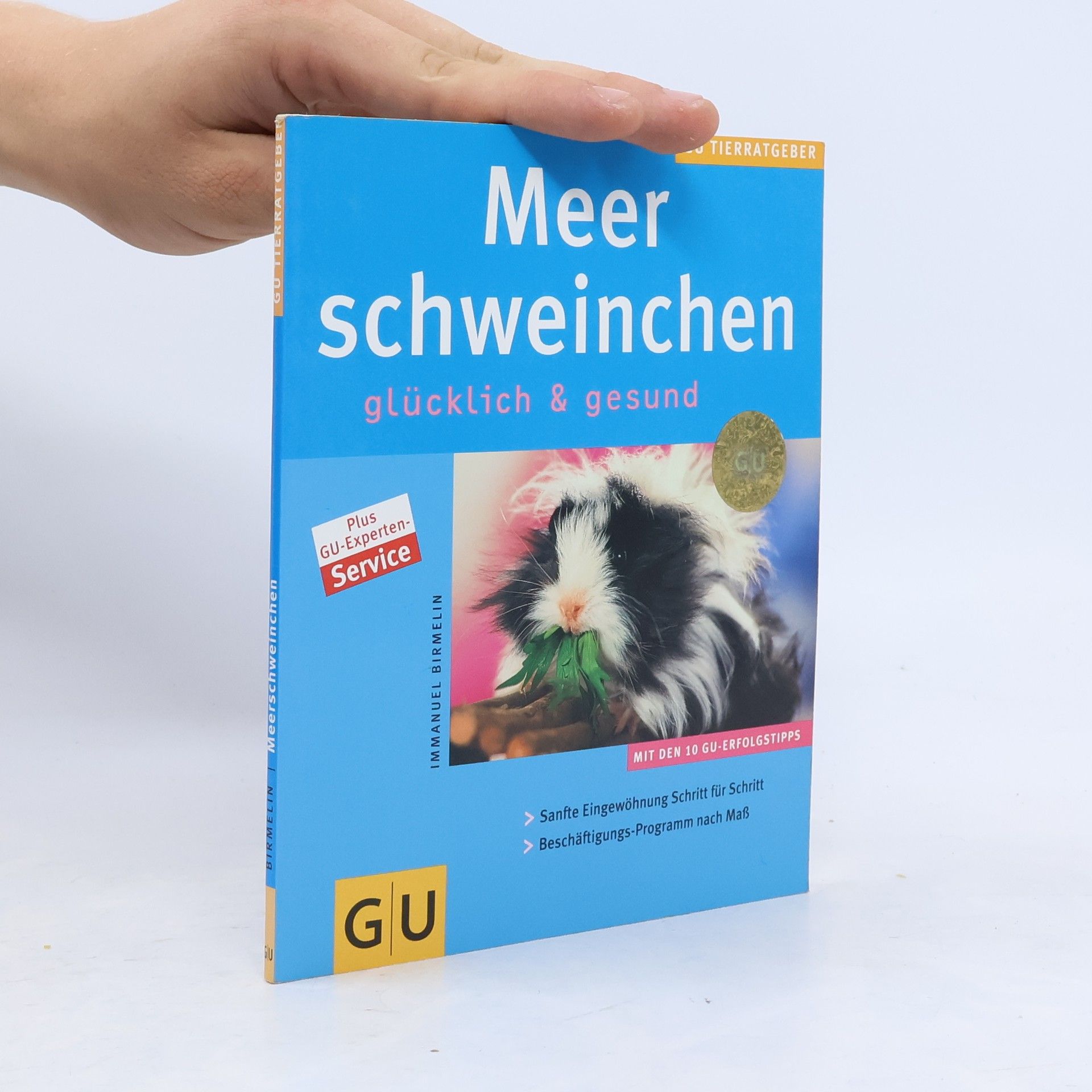 Autorenkollektiv Meer Schweinchen
