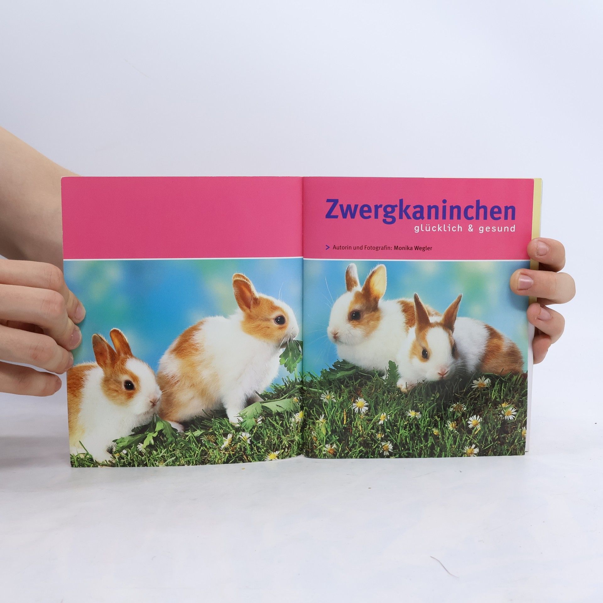Monika Wegler Zwergkaninchen