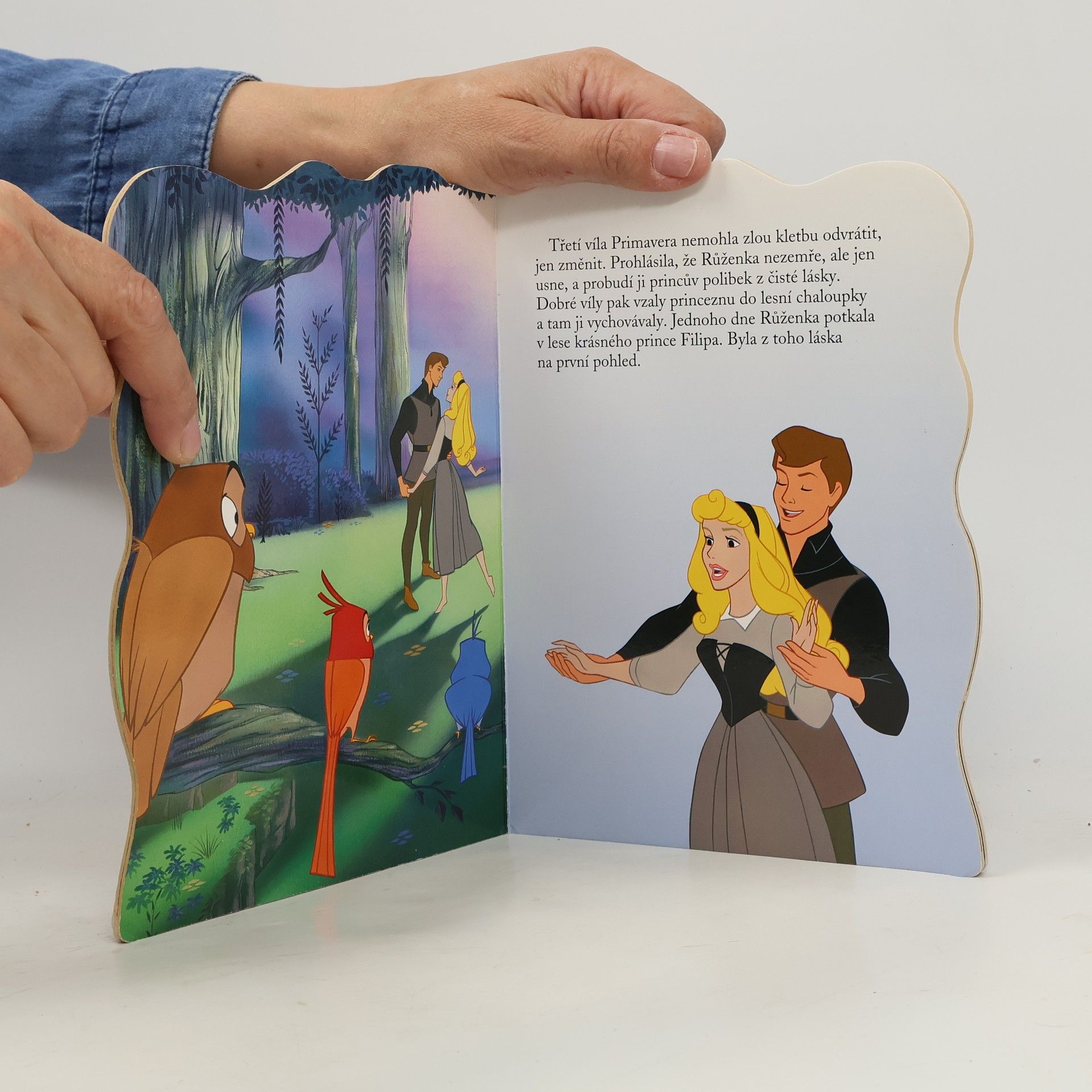 Walt Disney Šípková Růženka - leporelo