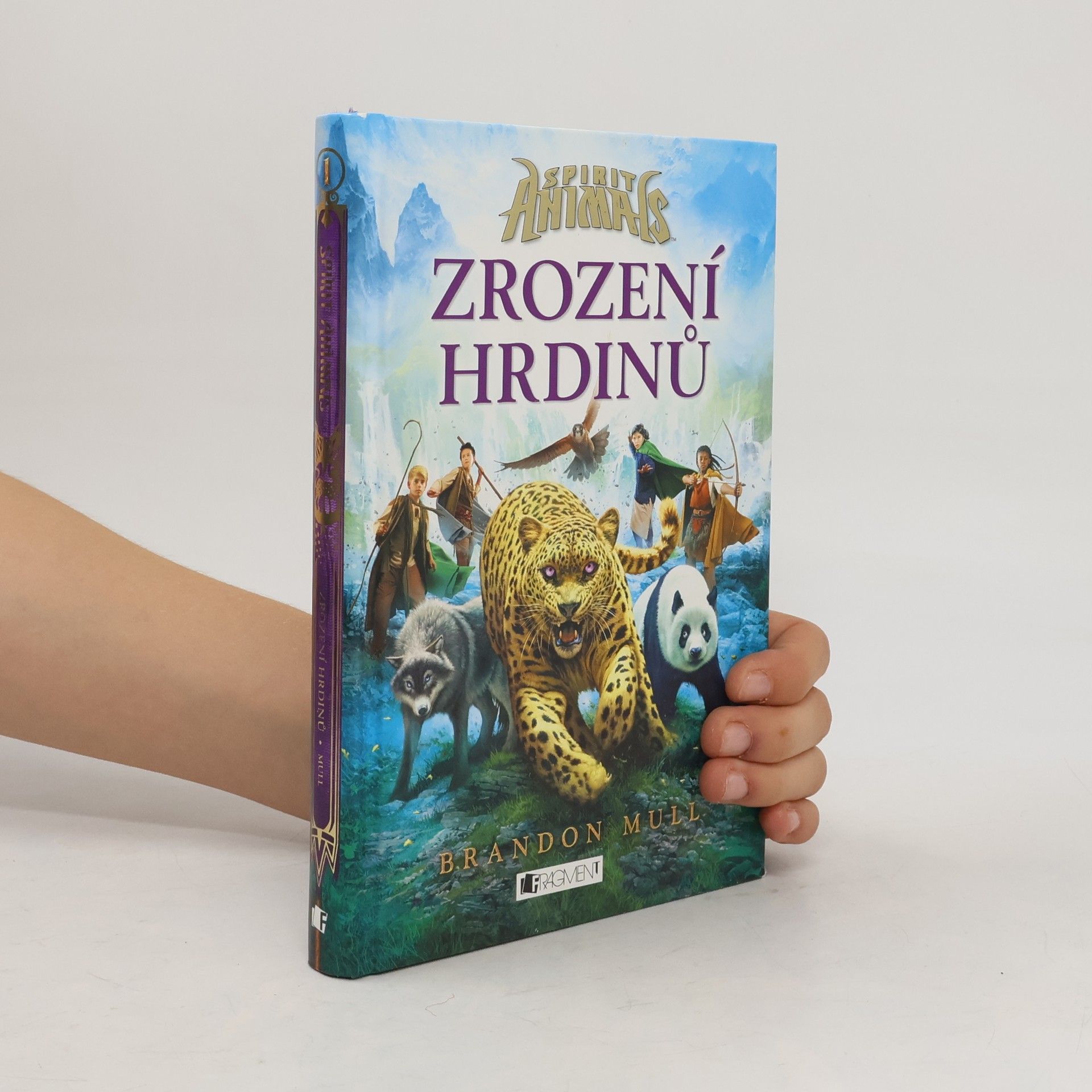 Brandon Mull Zrození hrdinů