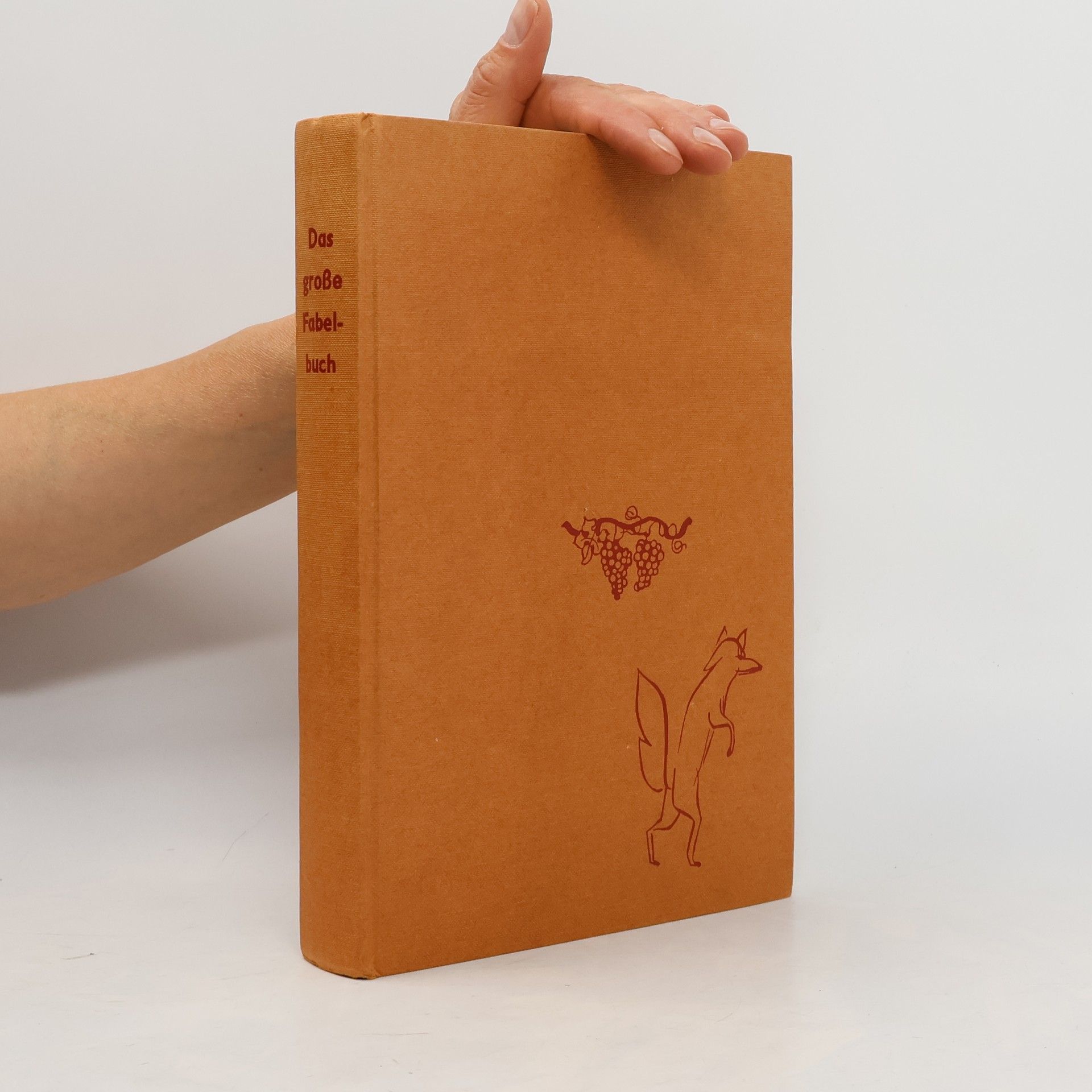 Various authors Das große Fabelbuch