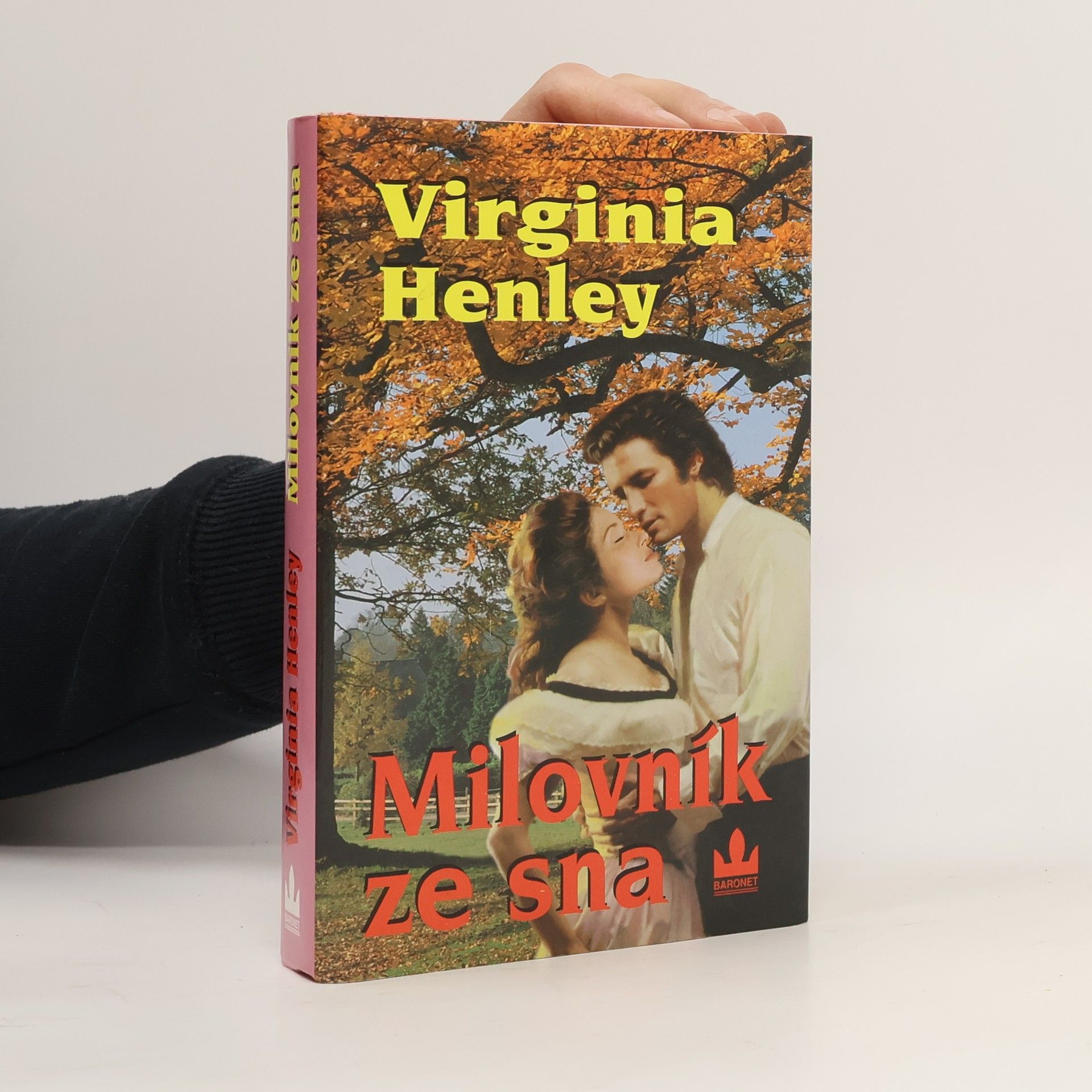 Virginia Henley Milovník ze sna