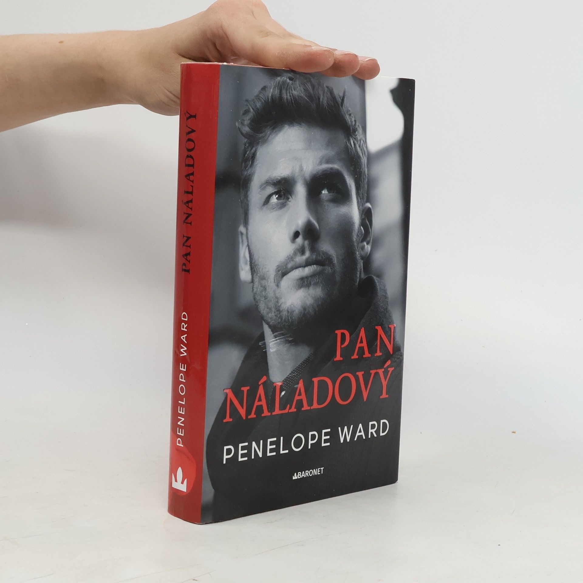 Penelope Ward Pan Náladový