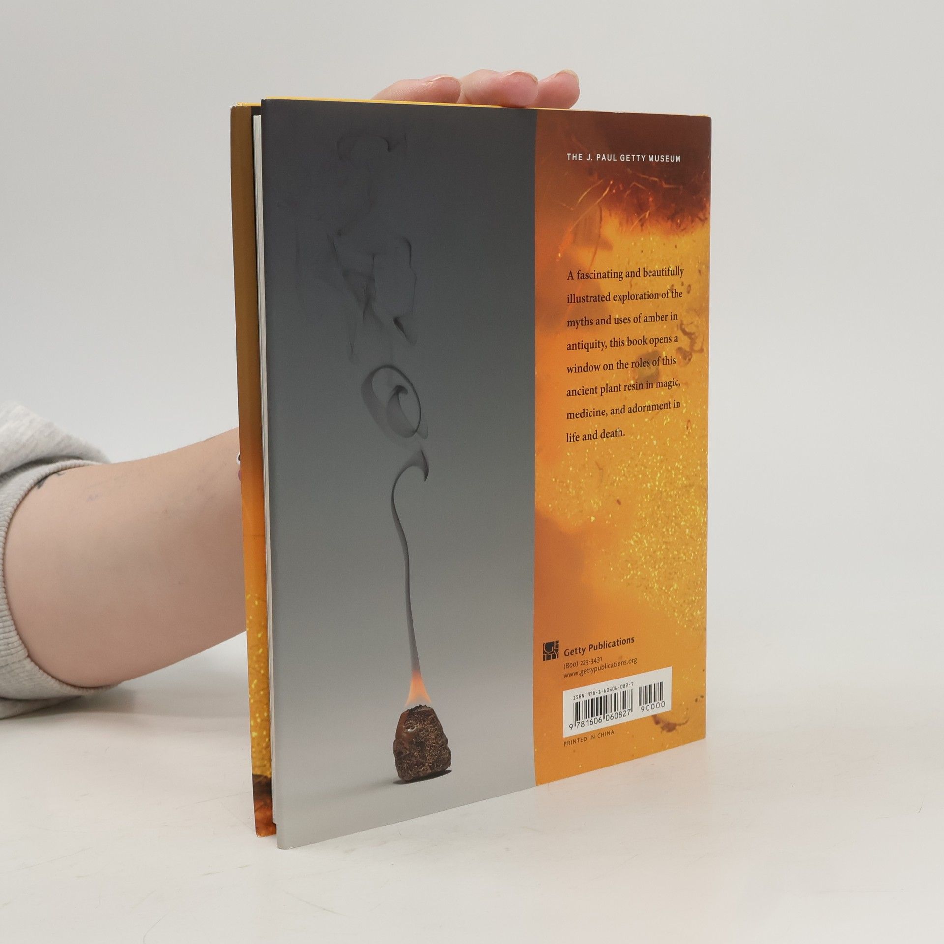 Faya Causey Amber and the Ancient World