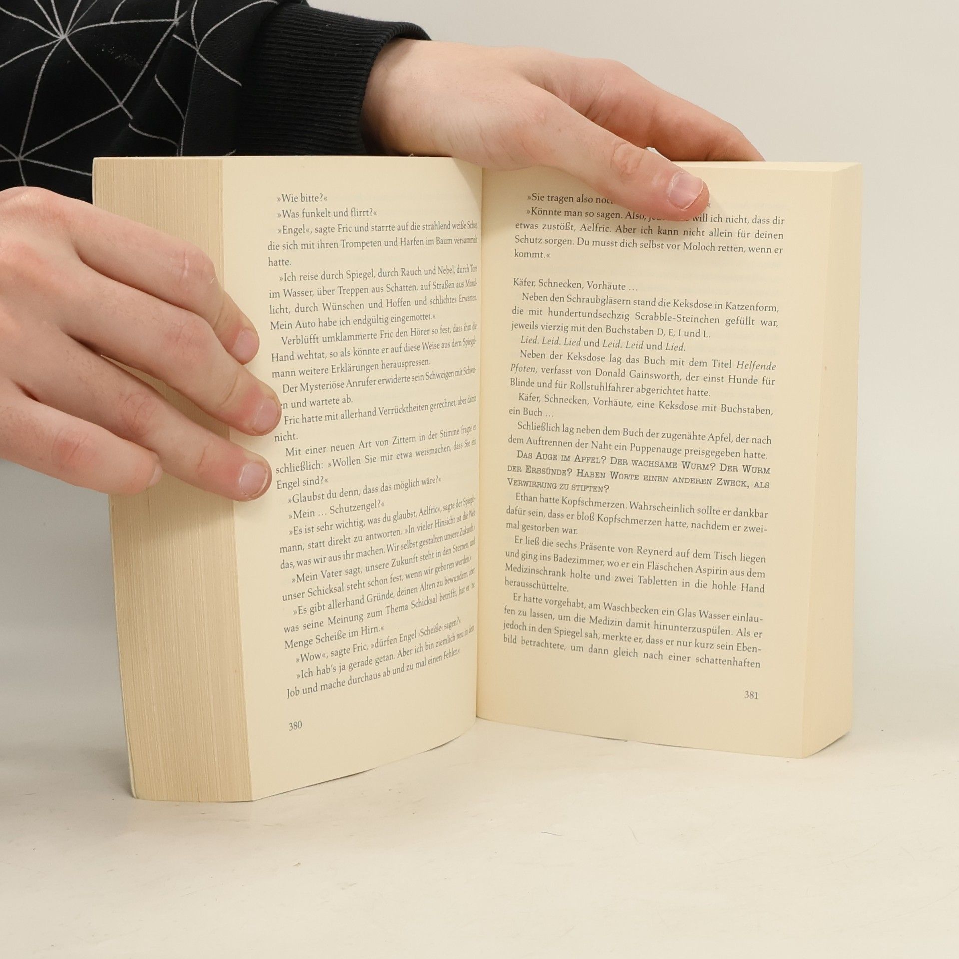 Dean Ray Koontz Der Wächter