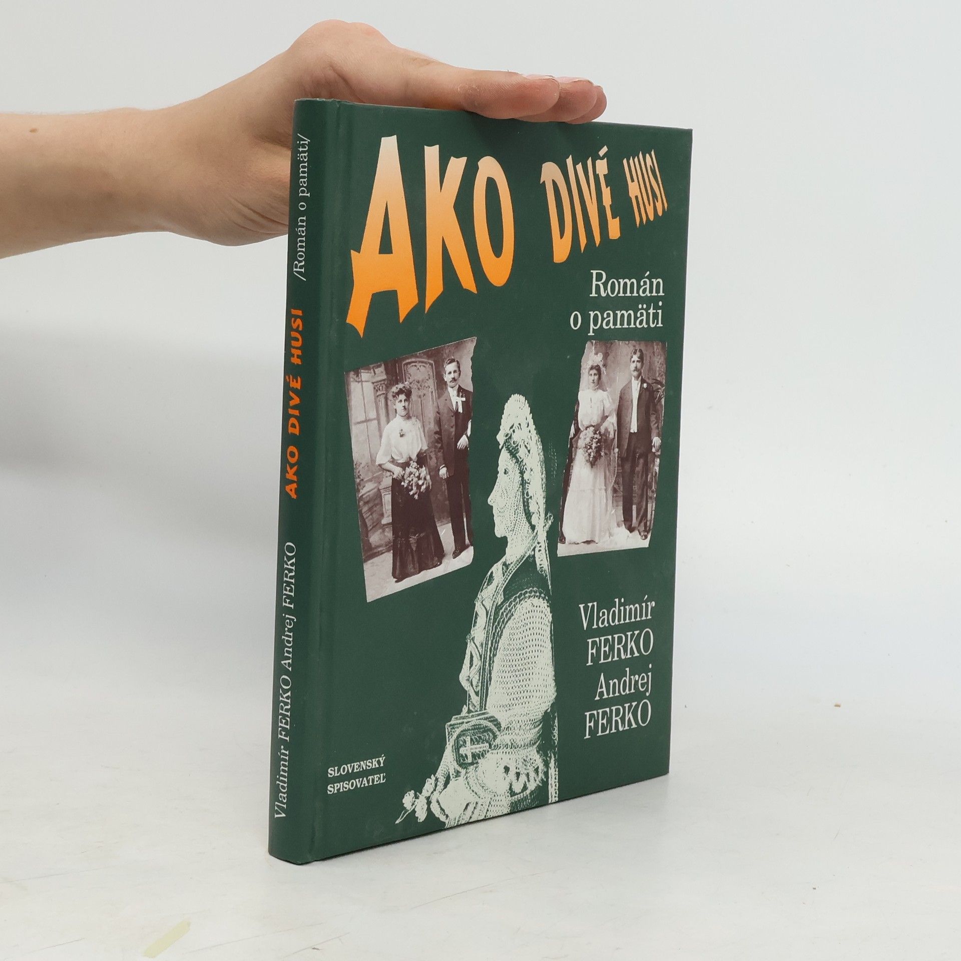 Andrej Ferko Ako divé husi