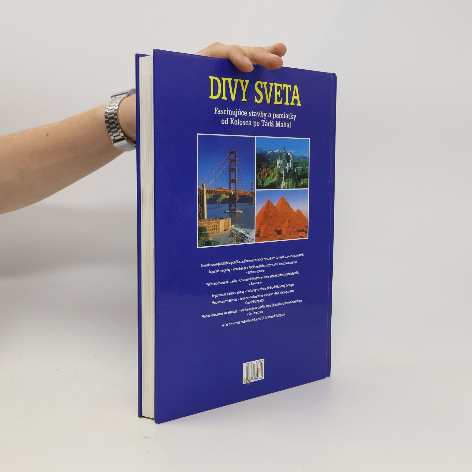 Autorenkollektiv Divy sveta