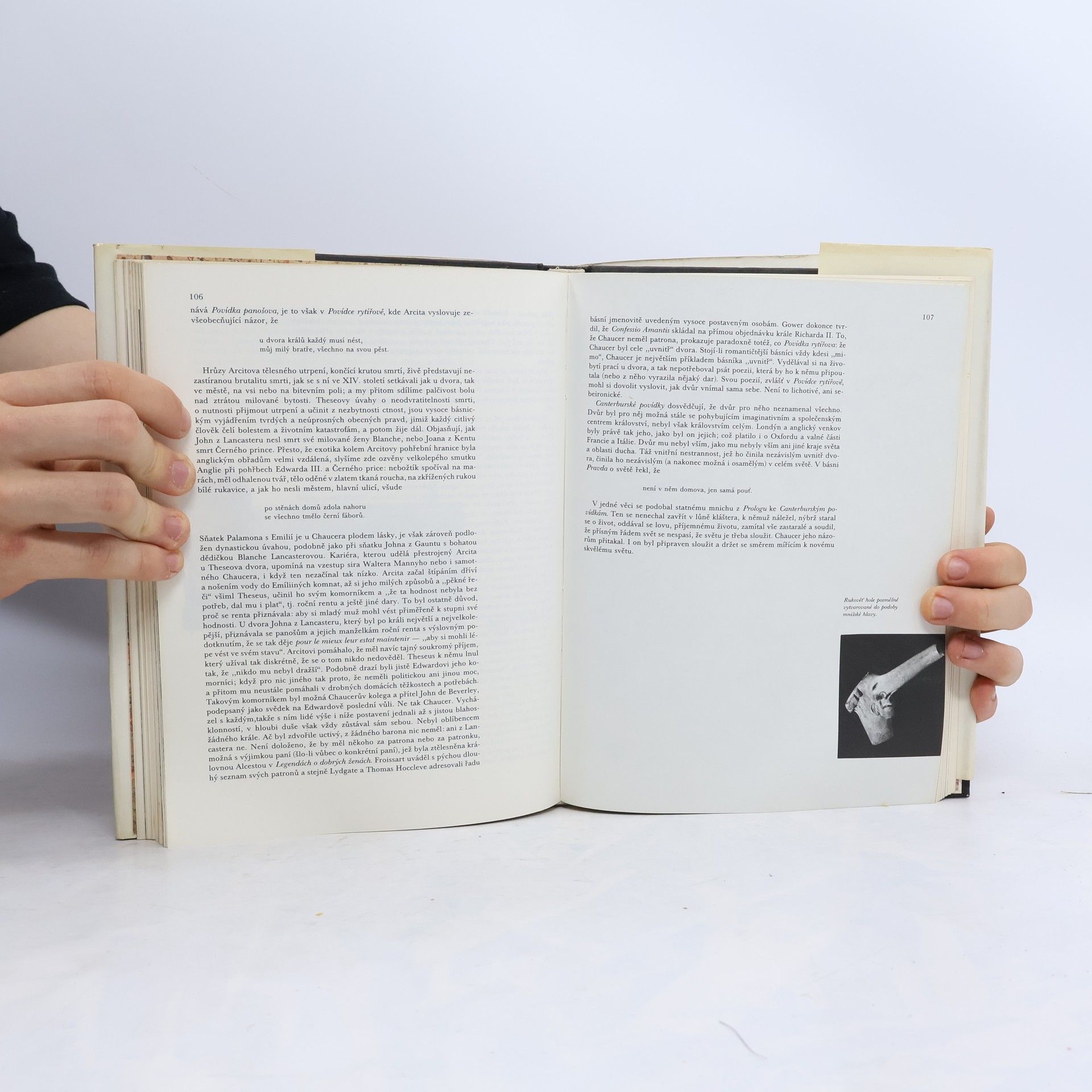Derek Brewer Chaucer a jeho svět