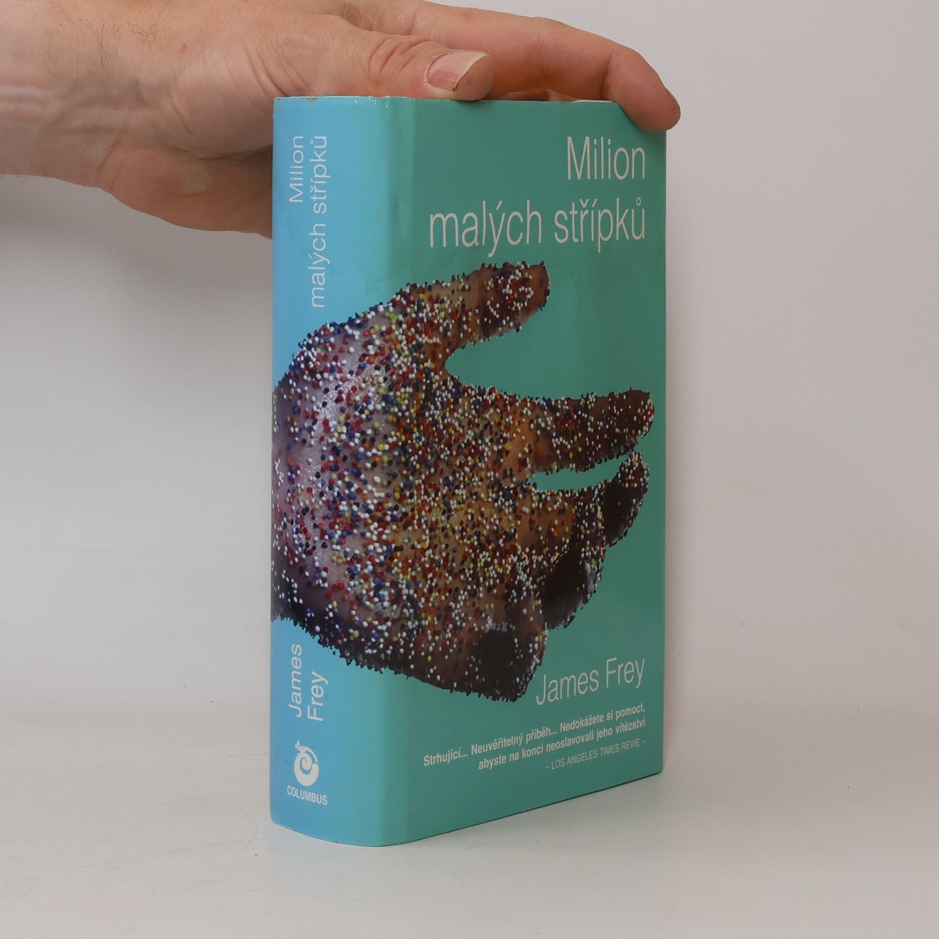 James Frey Milion malých střípků