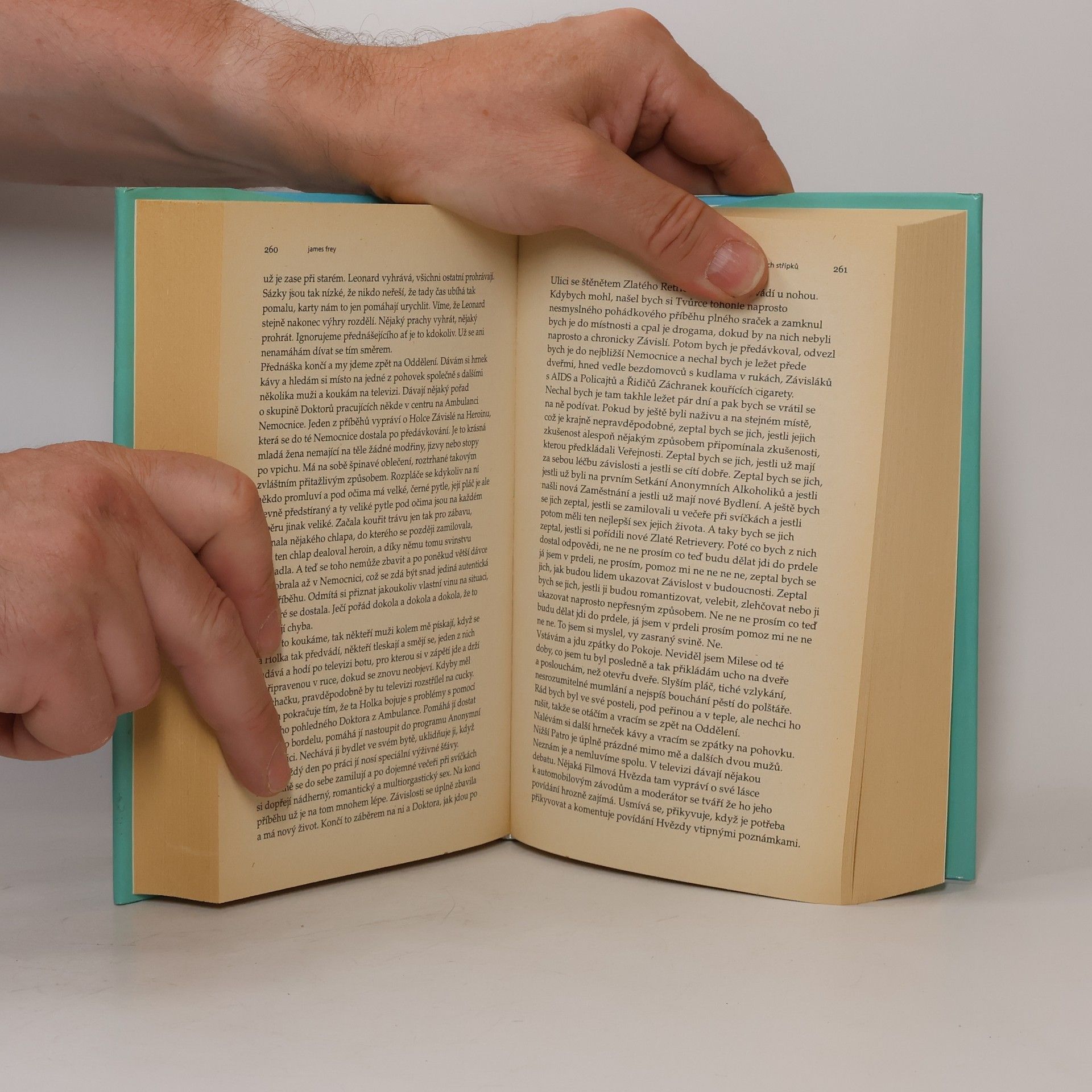 James Frey Milion malých střípků