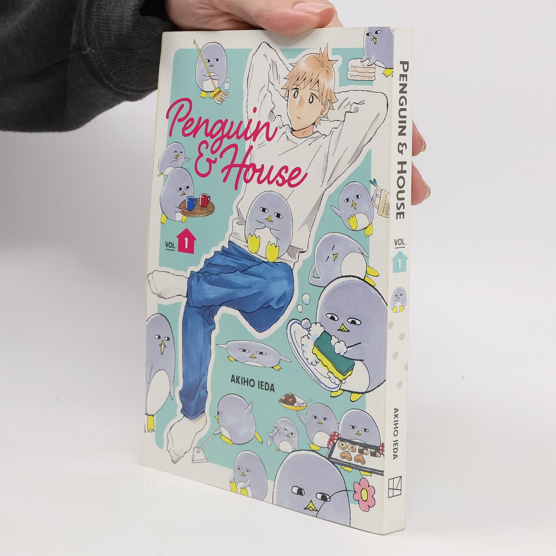Akiho Ieda Penguin & House 1