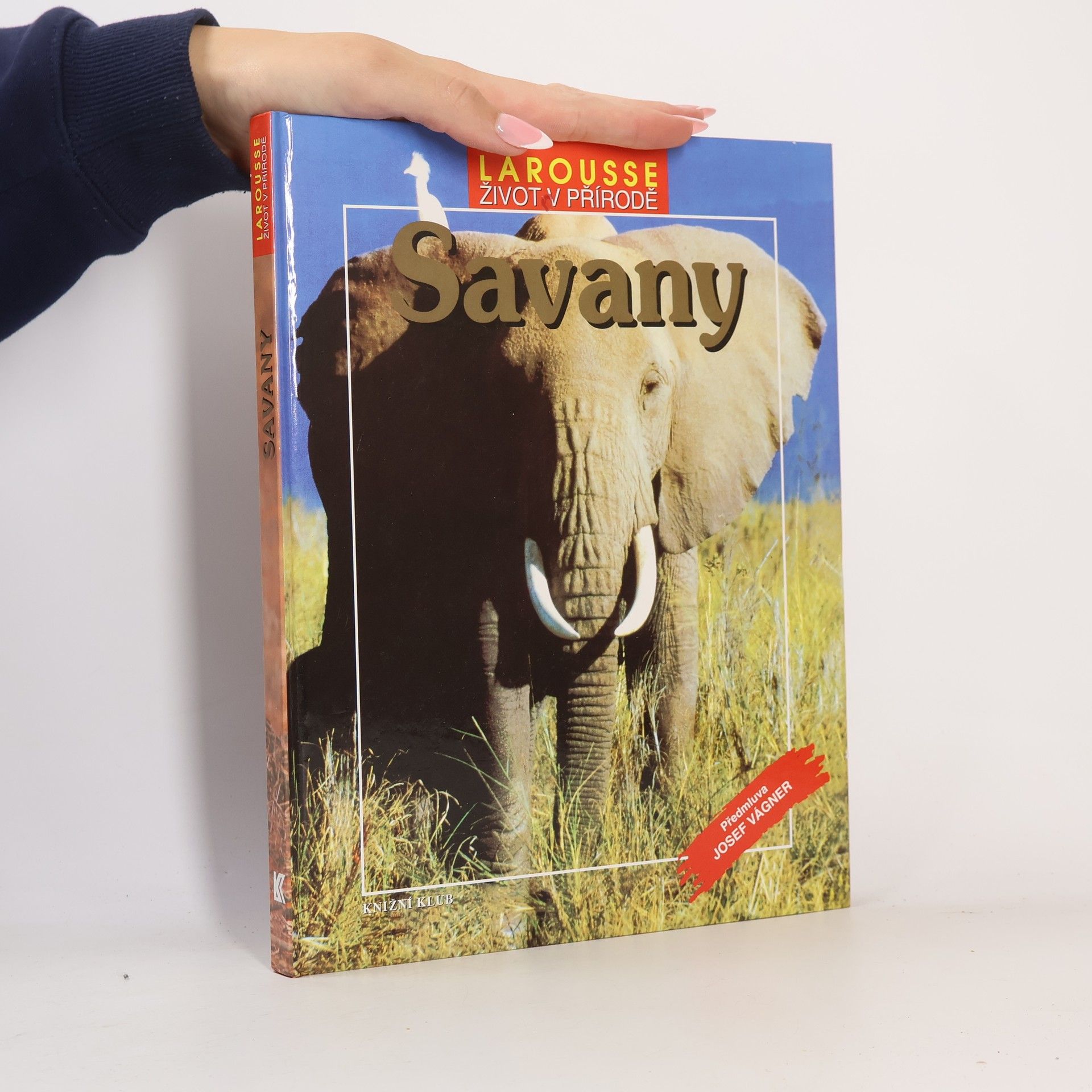 Collectif d'auteurs Savany
