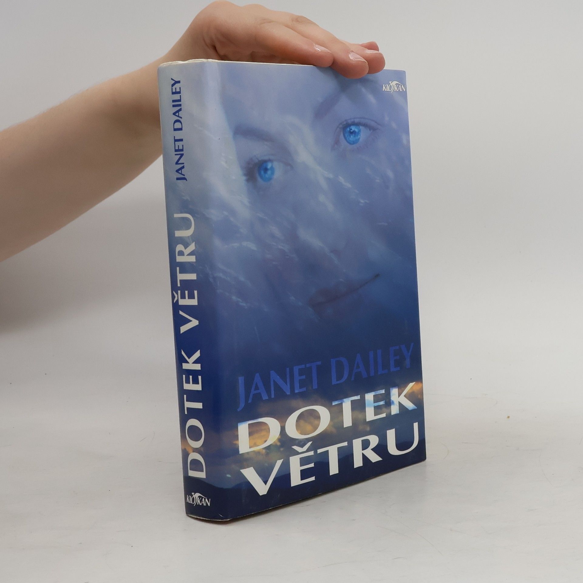 Janet Dailey Dotek větru