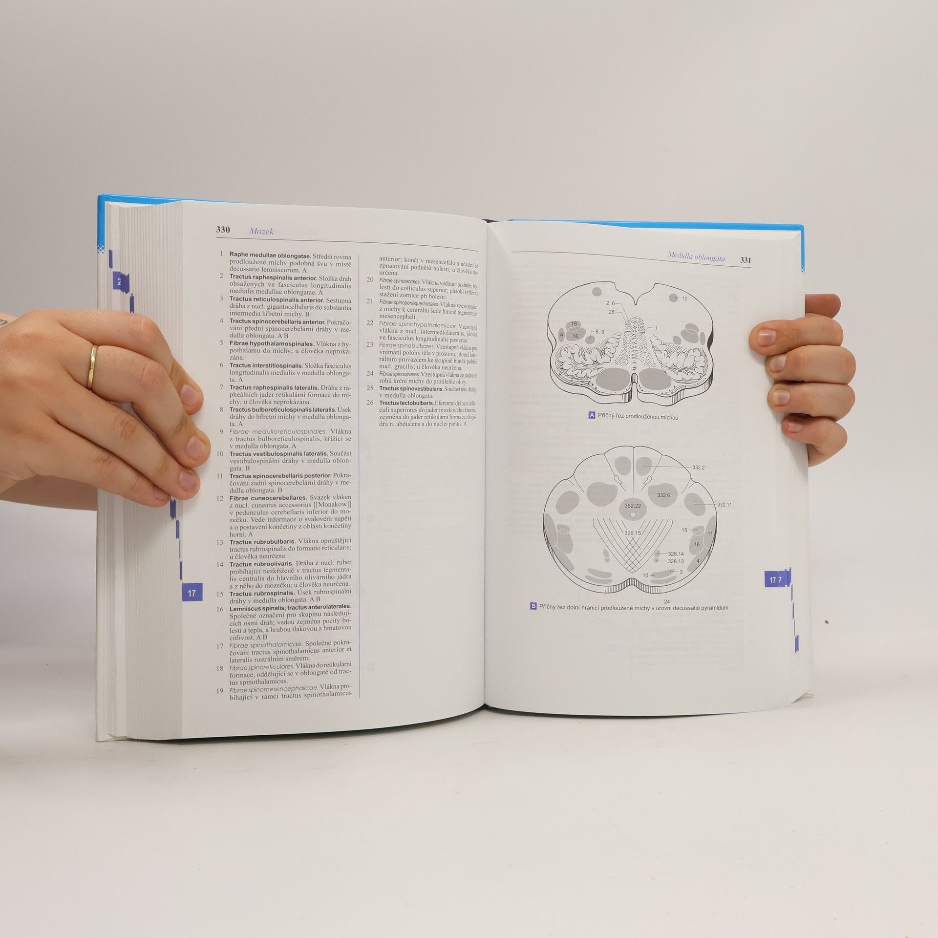 Wolfgang Dauber Feneisův obrazový slovník anatomie
