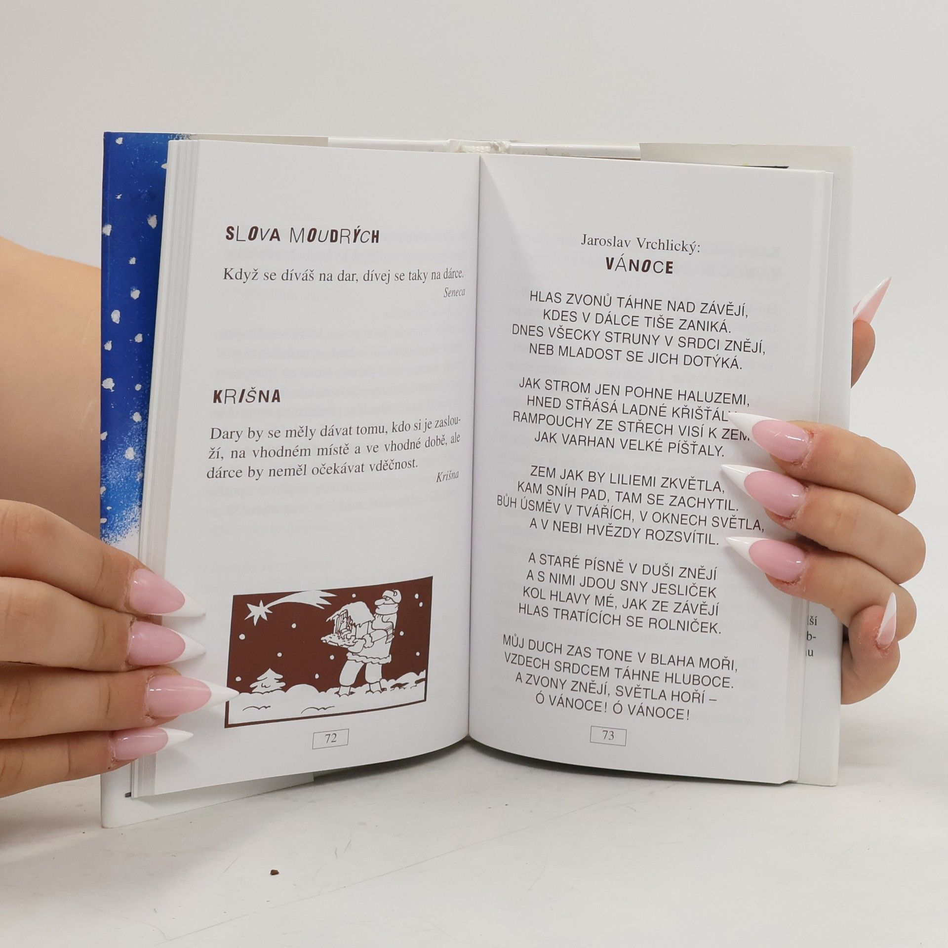Vratislav Ebr Podoby vánoc: Netradiční almanach