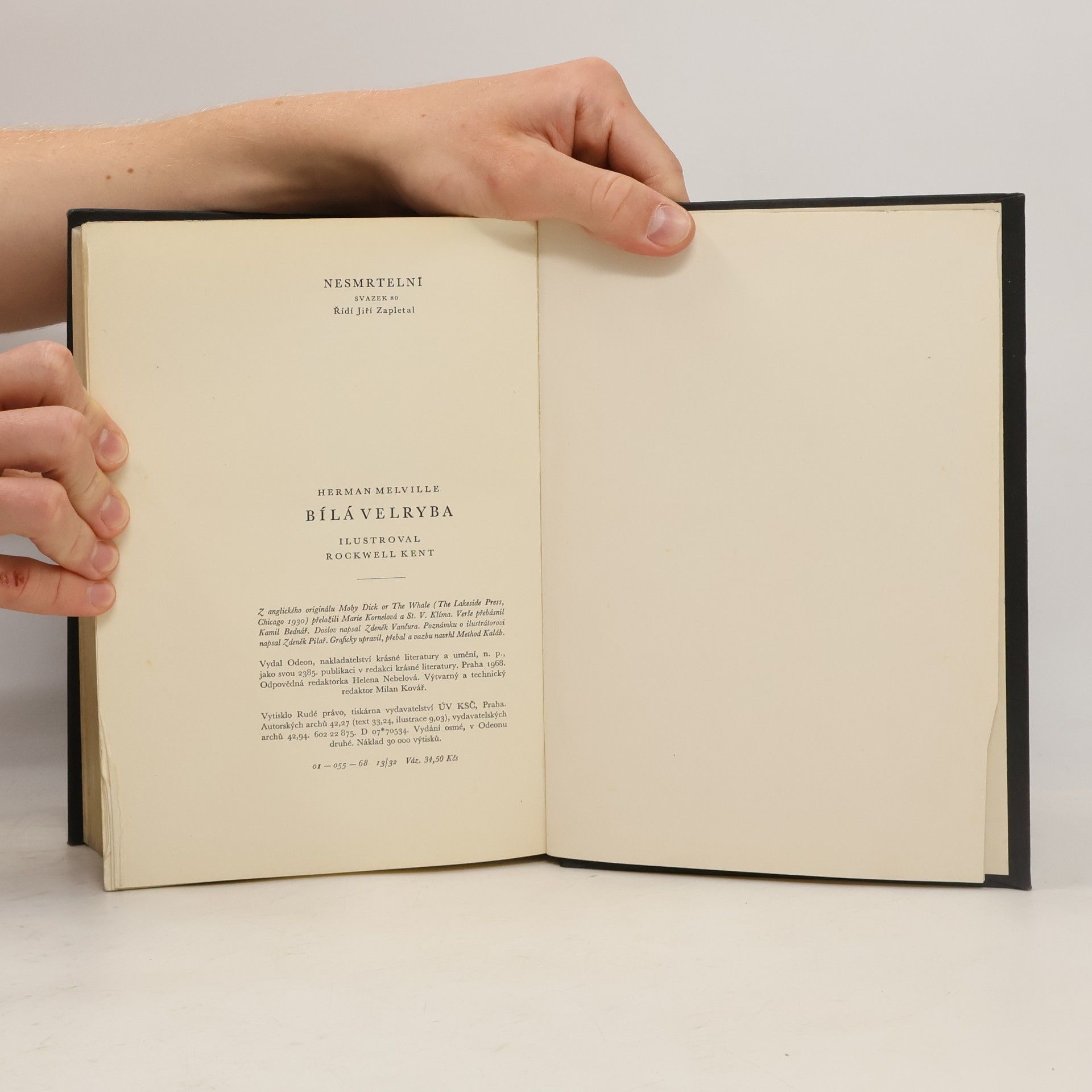 Herman Melville Bílá velryba