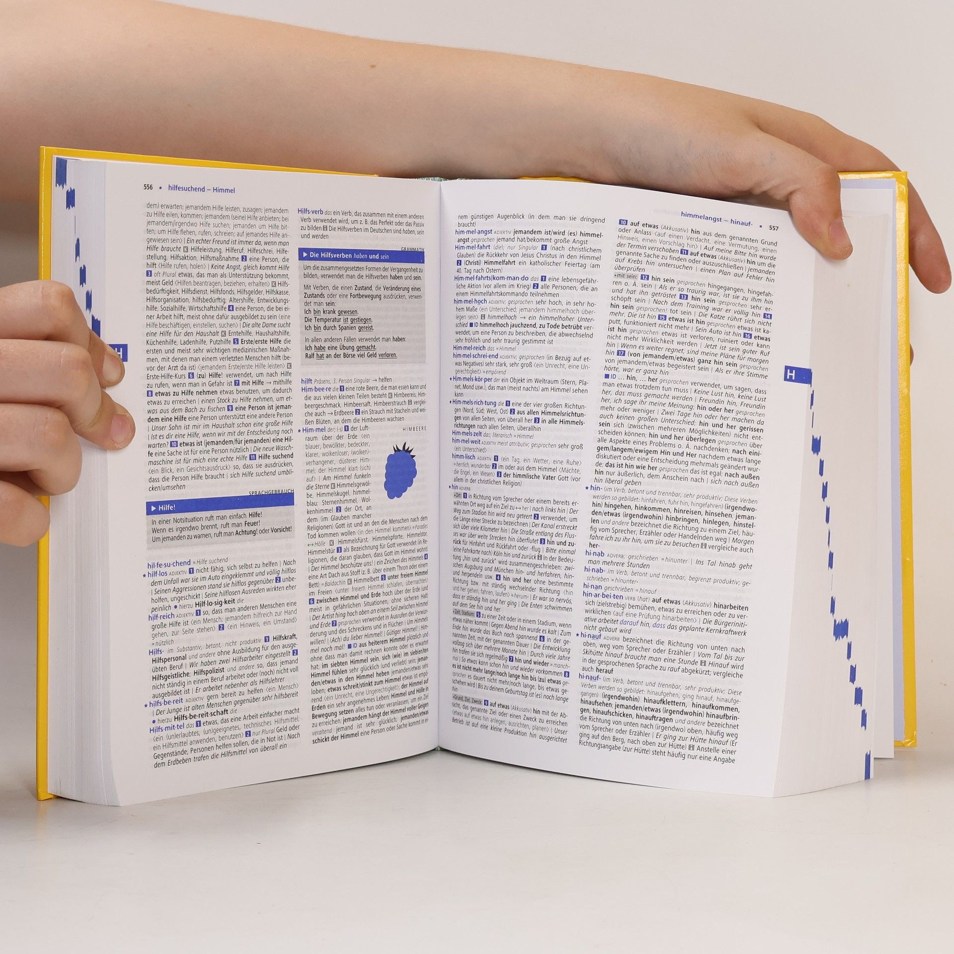 Dieter Götz Langenscheidt Großwörterbuch Deutsch als Fremdsprache mit Online-Wörterbuch