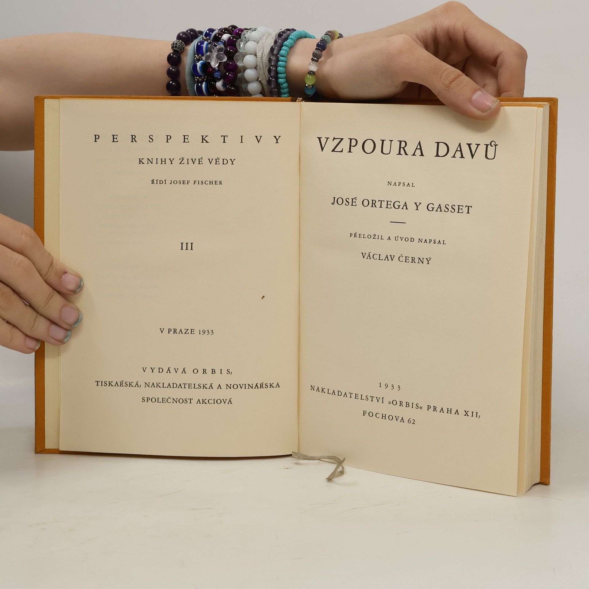 José Ortega y Gasset Vzpoura davů