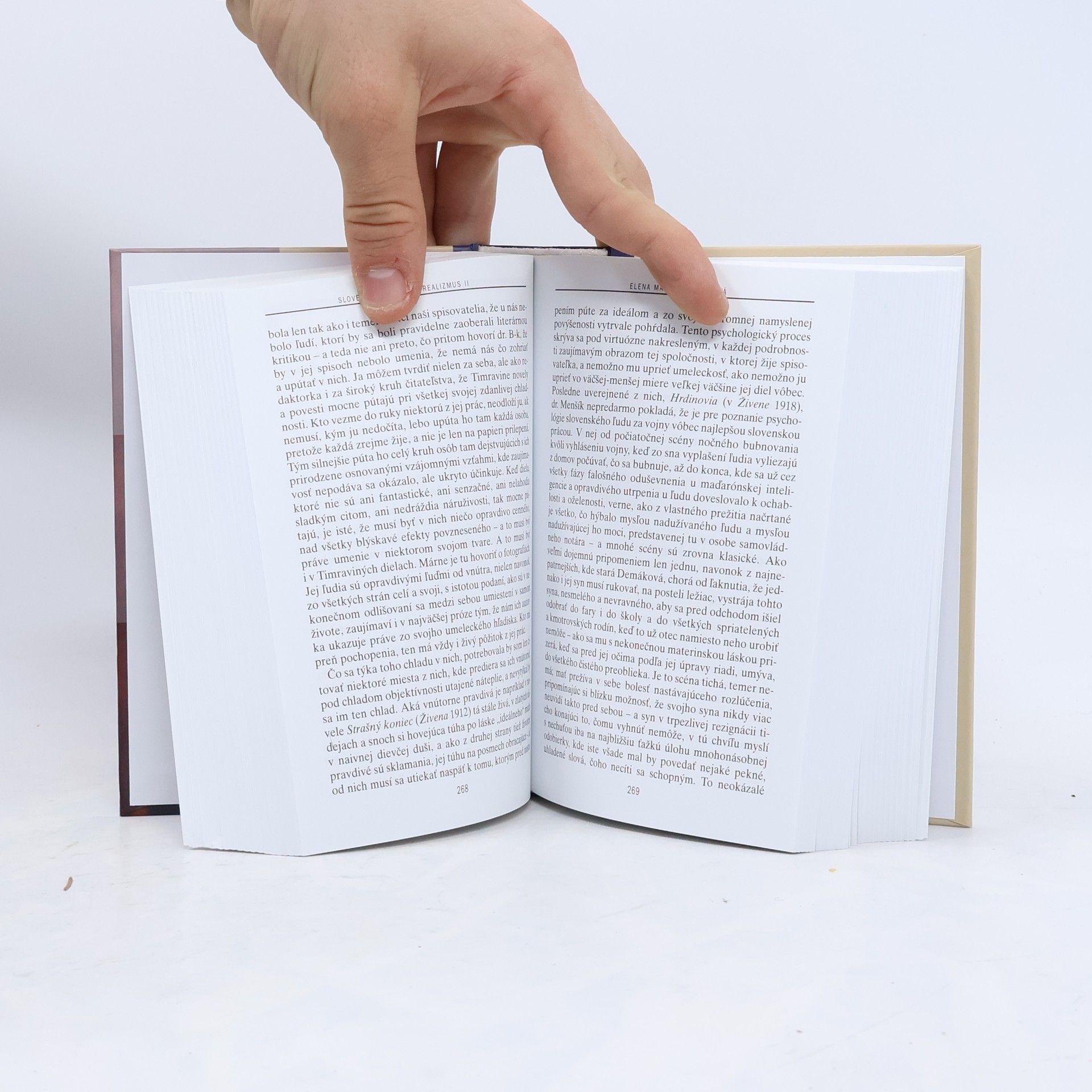 Valér Mikula Slovenský literárny realizmus II