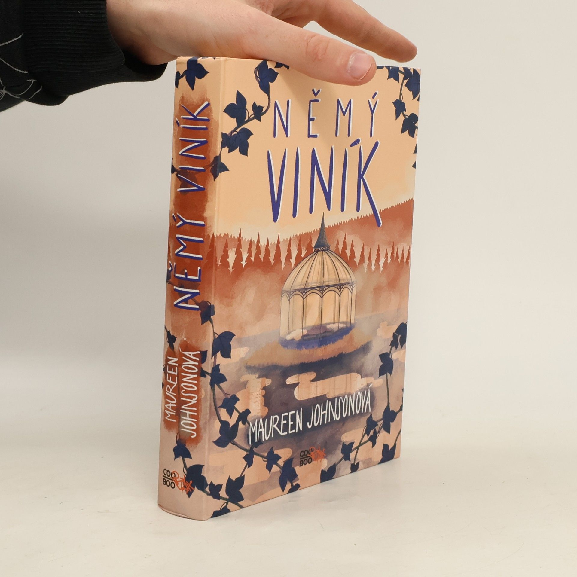Maureen Johnson Němý viník