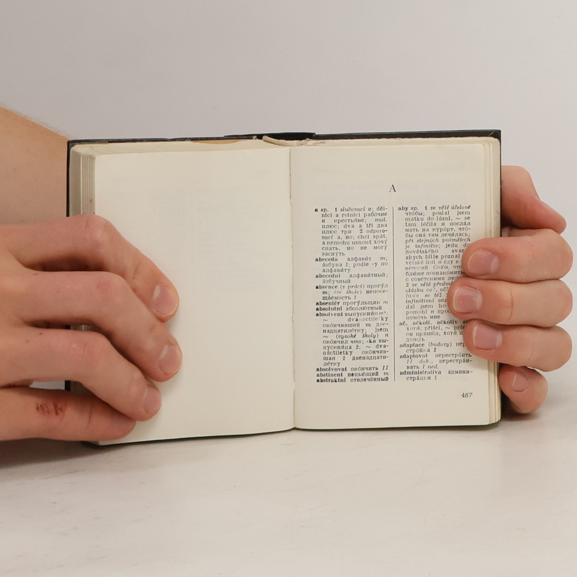 Jelizaveta Dvořáková Rusko-český a česko-ruský kapesní slovník