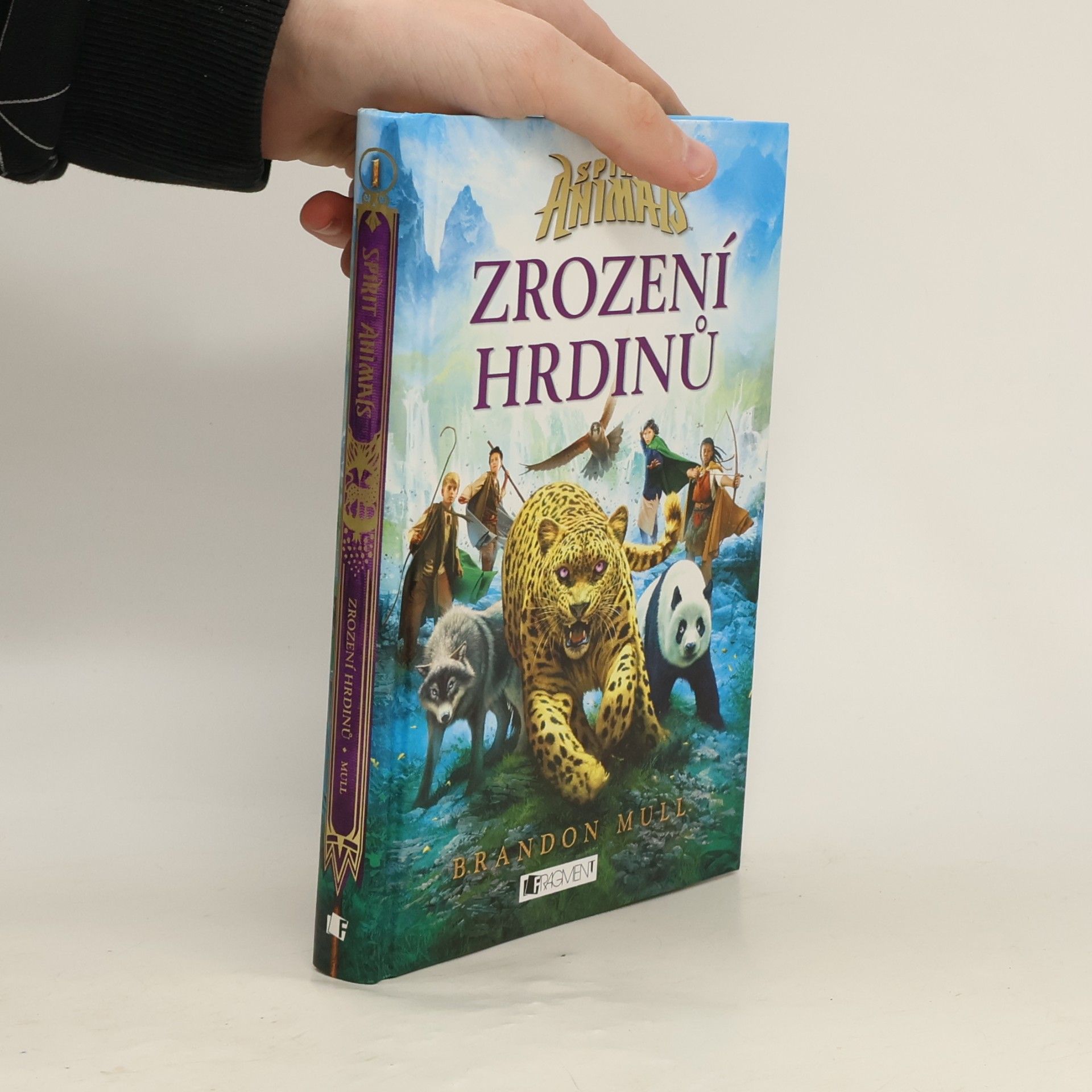 Brandon Mull Zrození hrdinů
