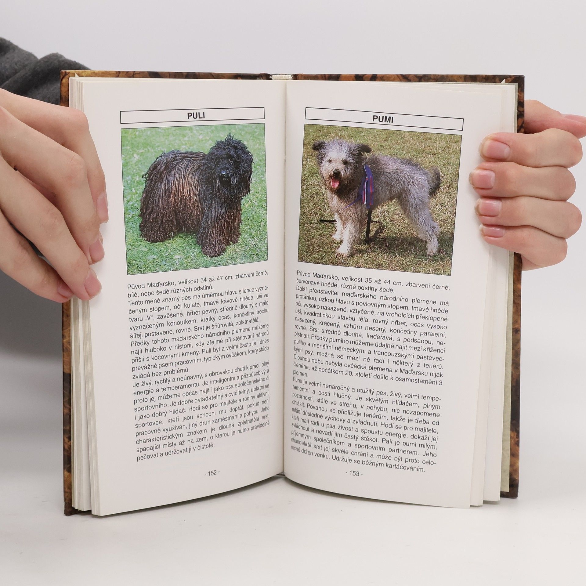 Daniela Pavlovská Kuntová Atlas psů