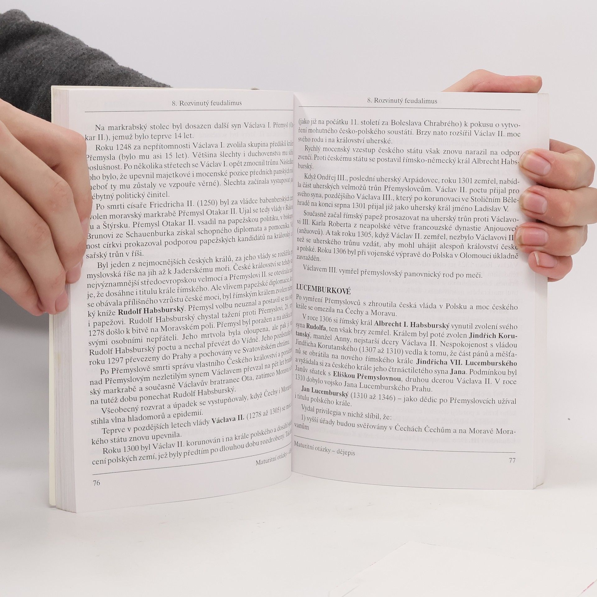 Radek Veselý Dějepis: Maturitní otázky. 25 podrobně zpracovaných témat