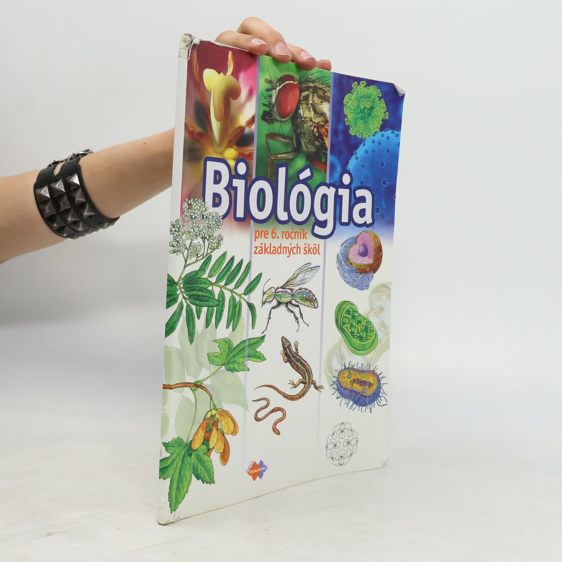 Biológia pre 6. ročník základných škôl