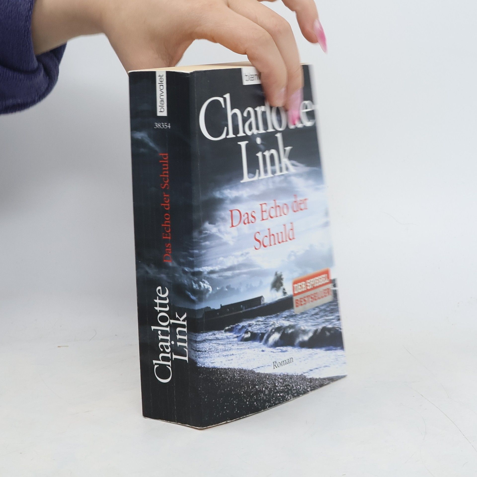 Charlotte Link Das Echo der Schuld