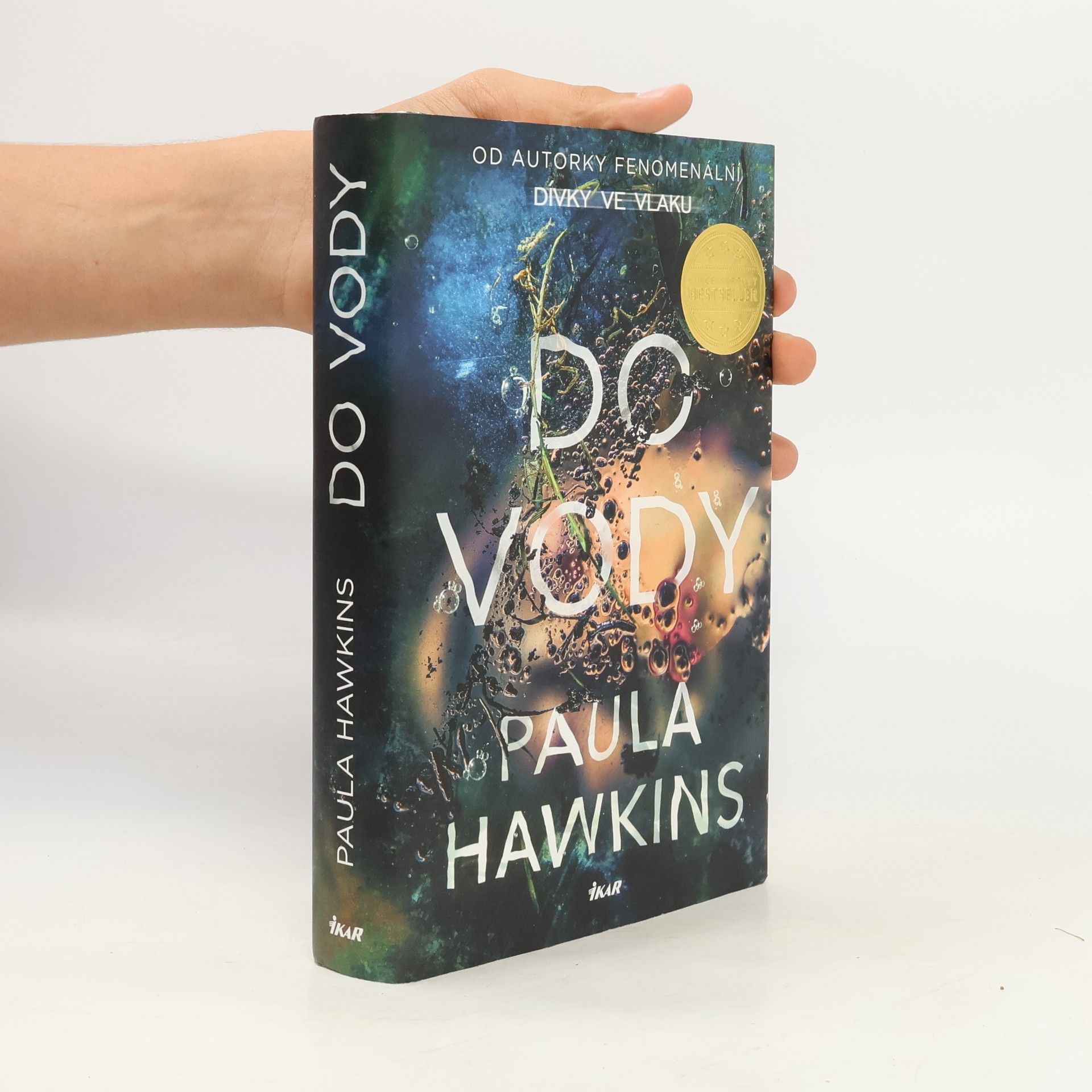 Paula Hawkins Do vody