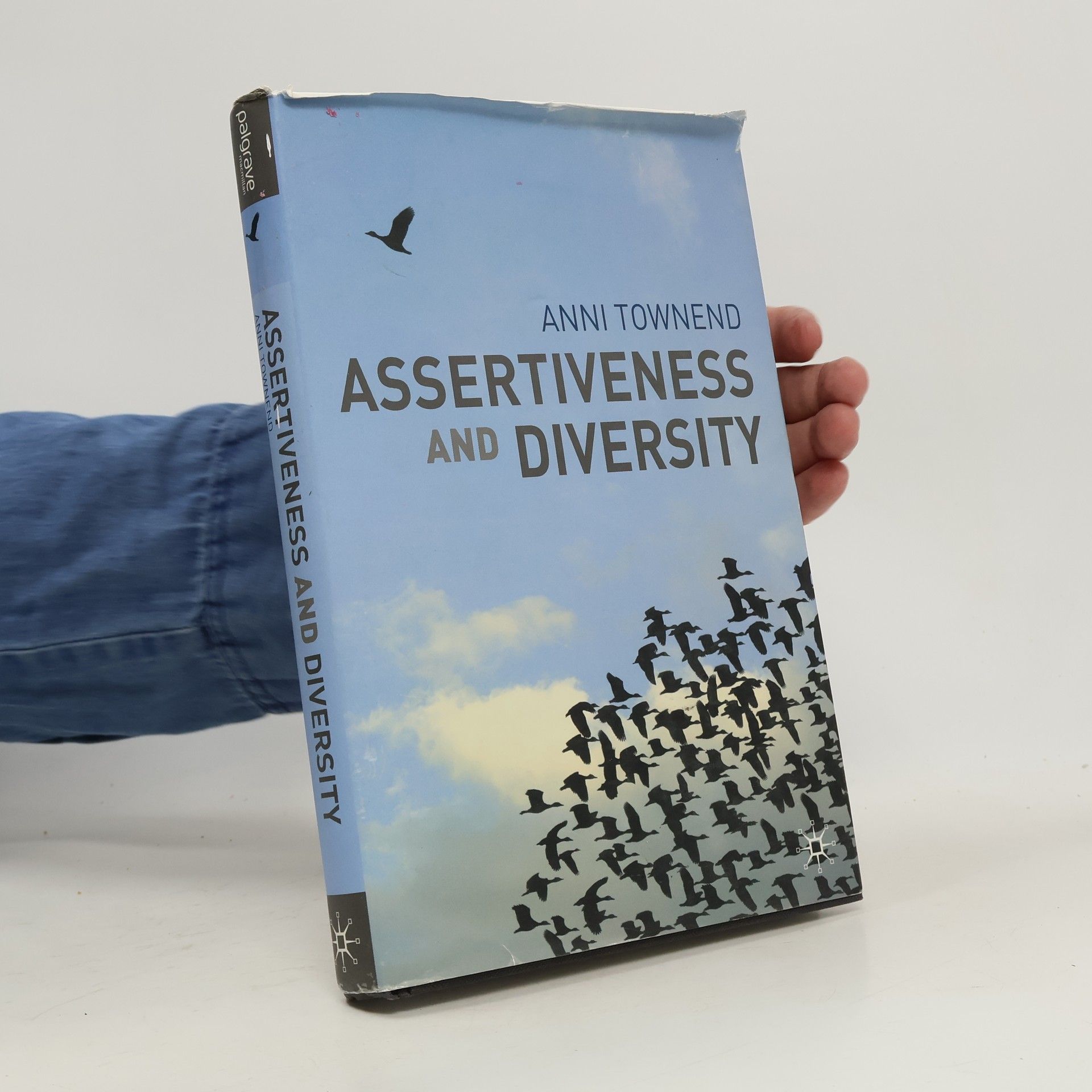 Annie Townend Assertiveness and Diversity