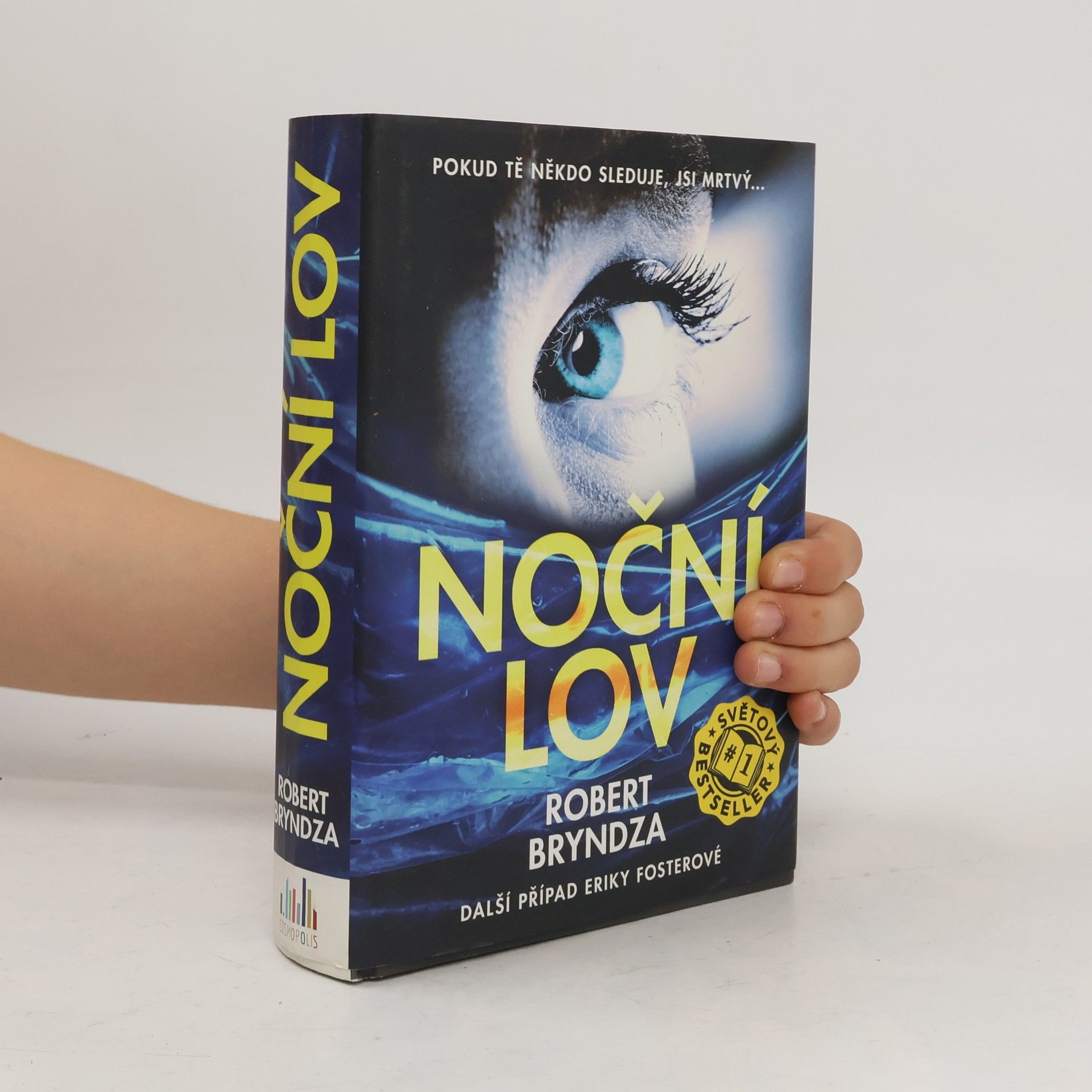 Robert Bryndza Noční lov
