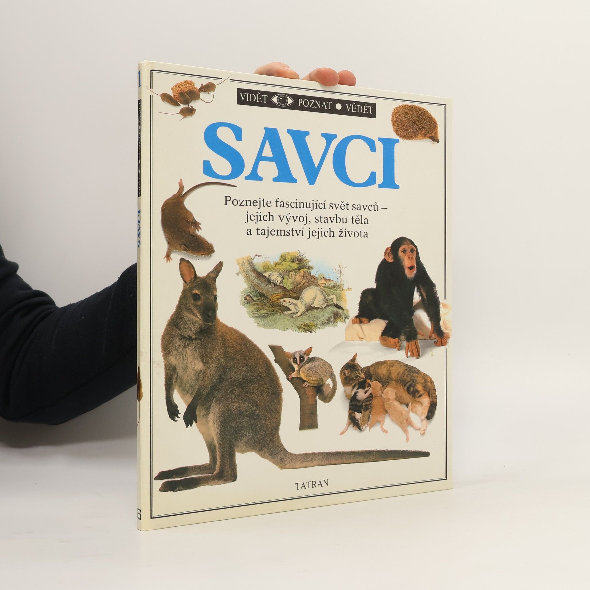 Steve Parker Savci