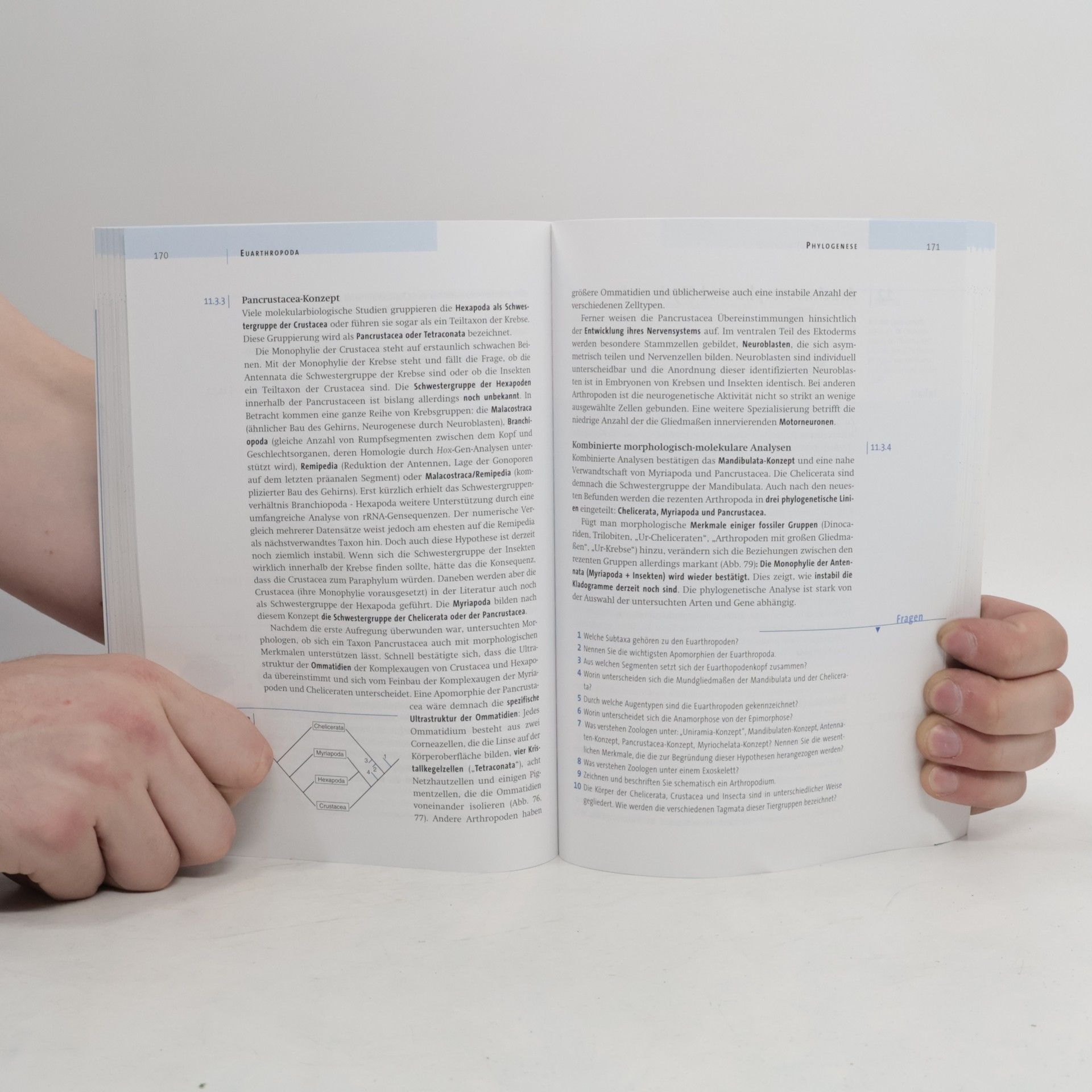 Hynek Burda Systematische Zoologie