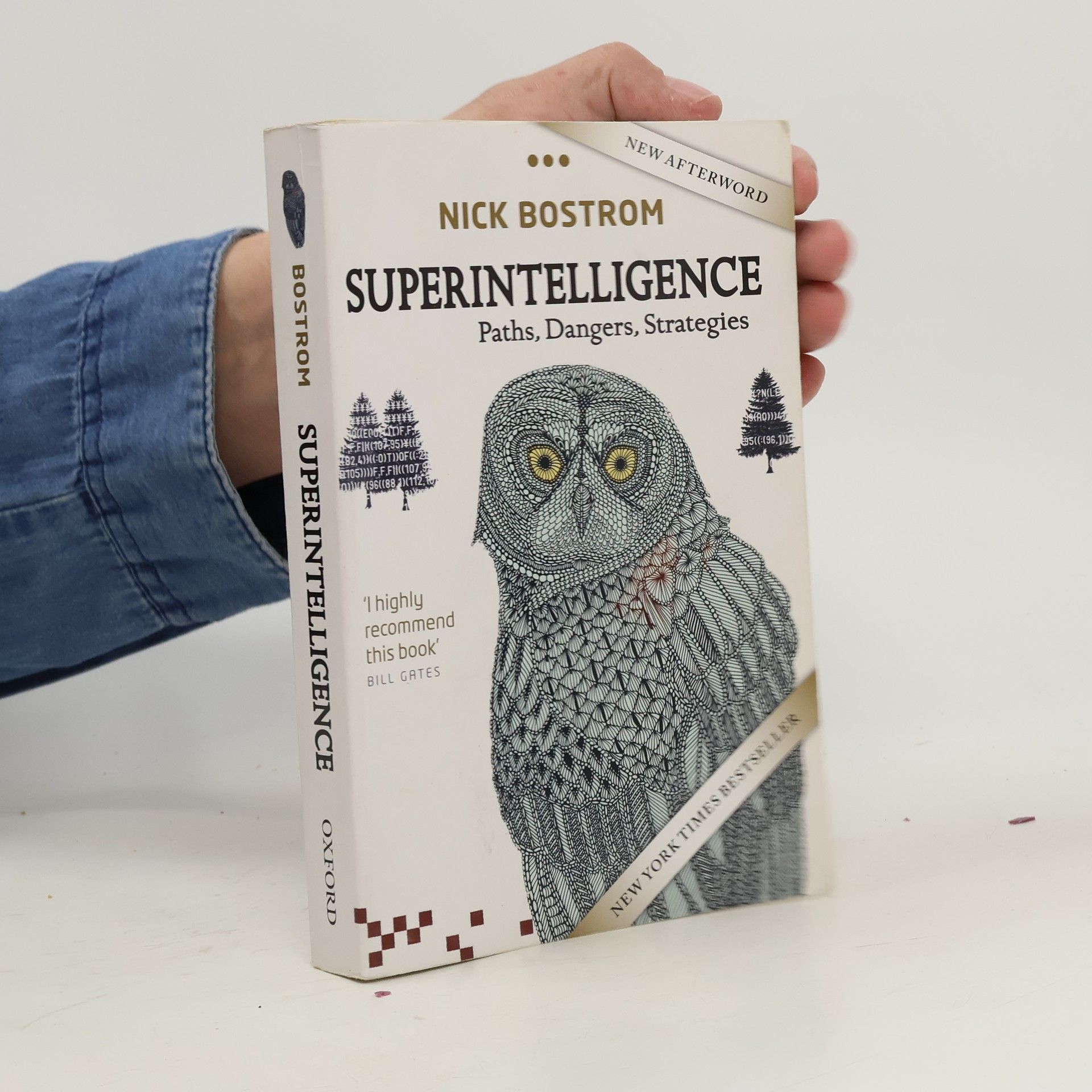 Nick Bostrom Superintelligence