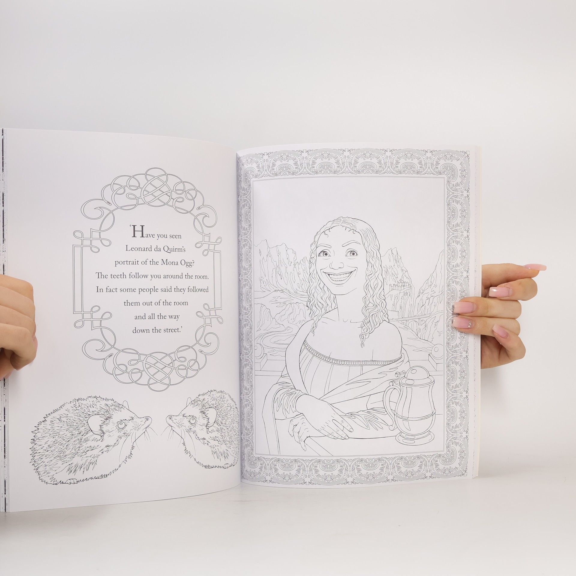 Paul Kidby Terry Pratchett's Discworld Colouring Book