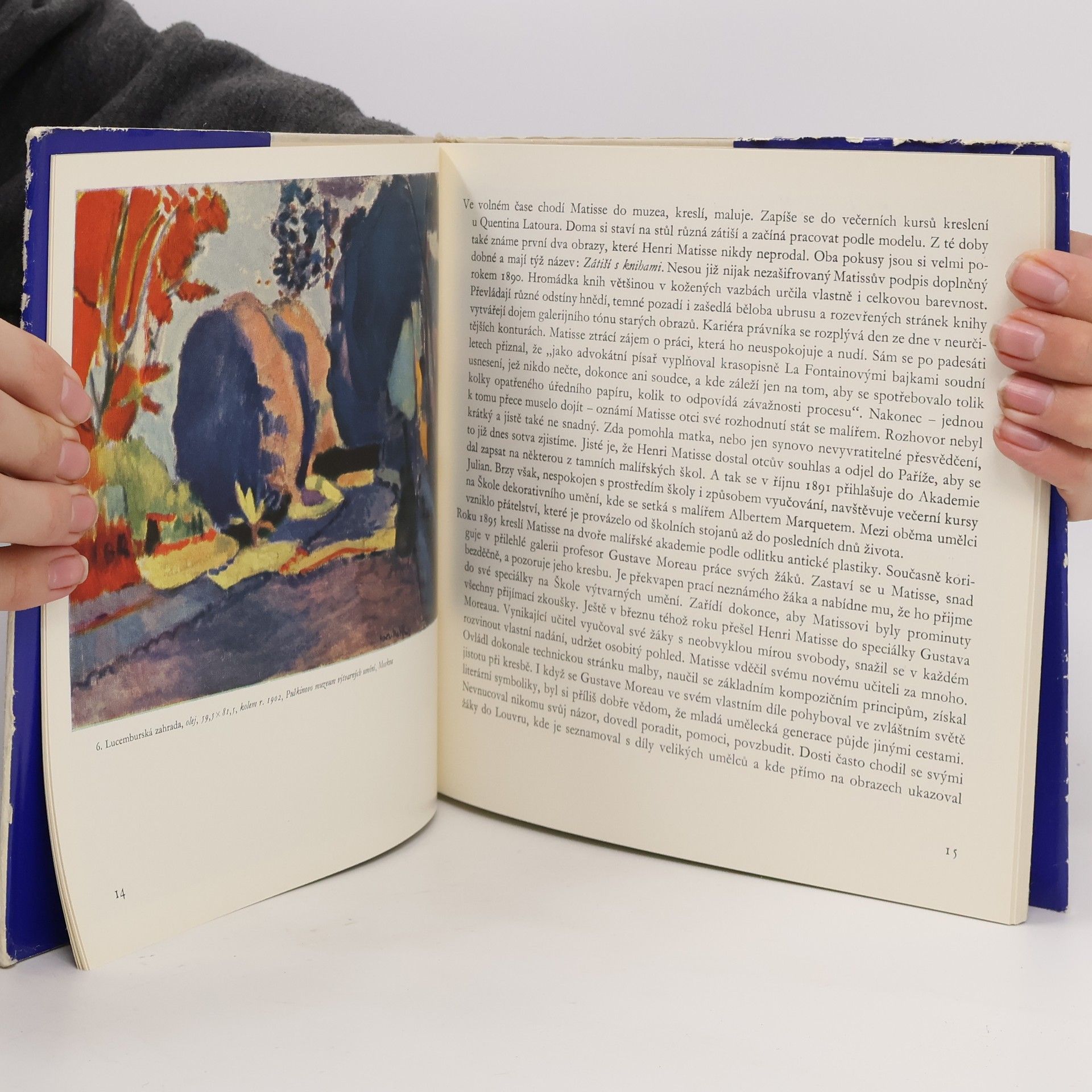 Vlastimil Fiala Henri Matisse