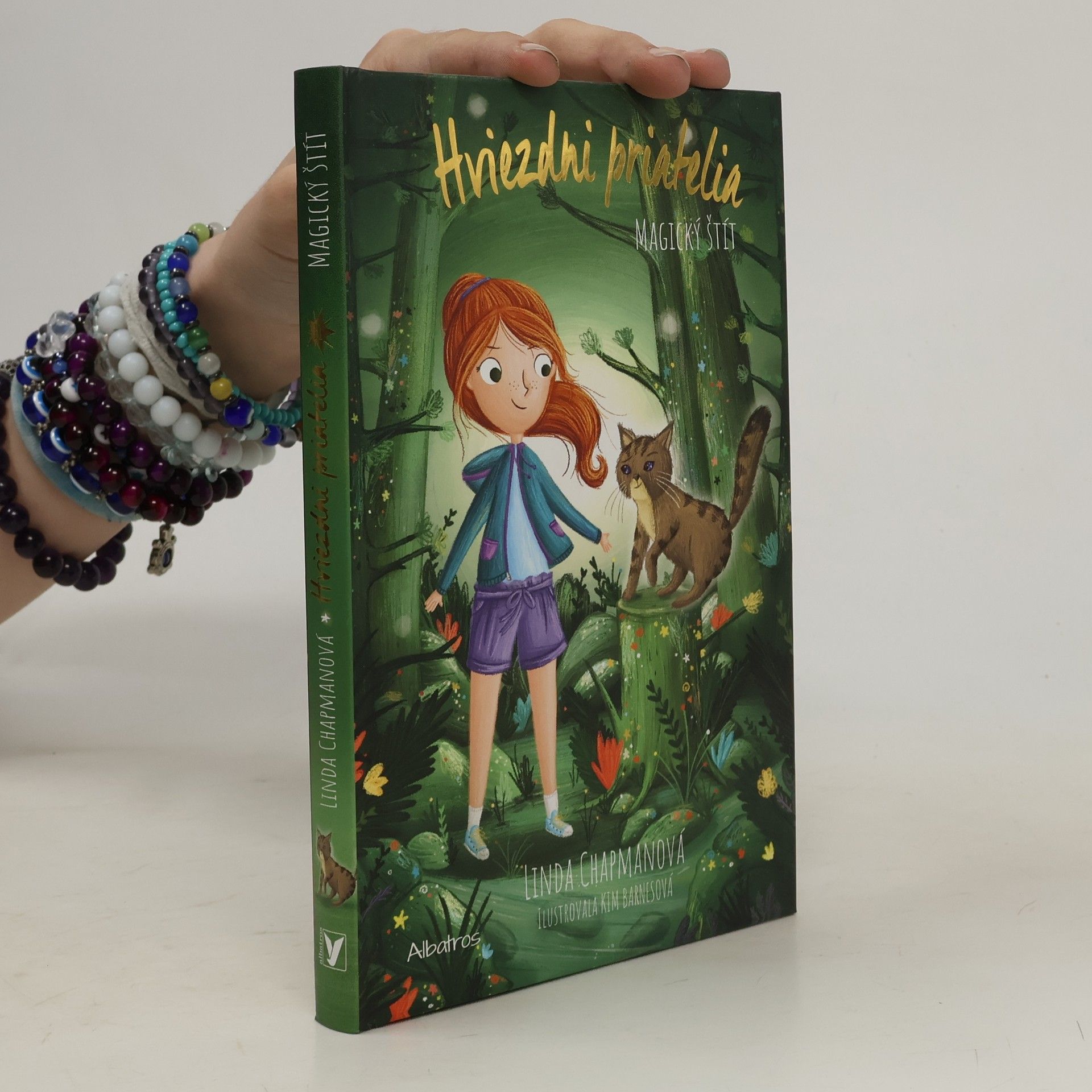 Kim Barnes Magický štít