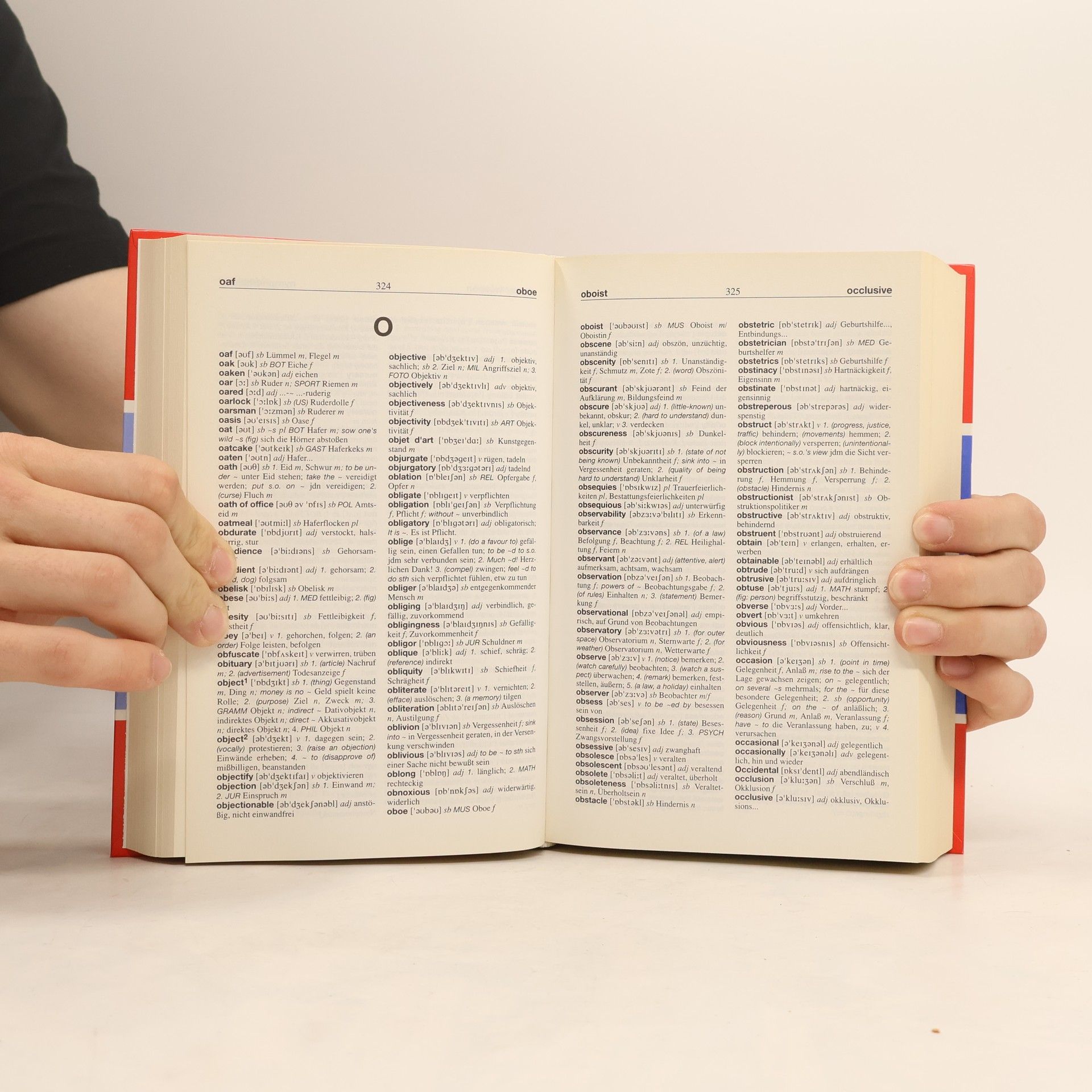 Barry Sandoval Großes Wörterbuch Englisch - Deutsch, Deutsch - Englisch
