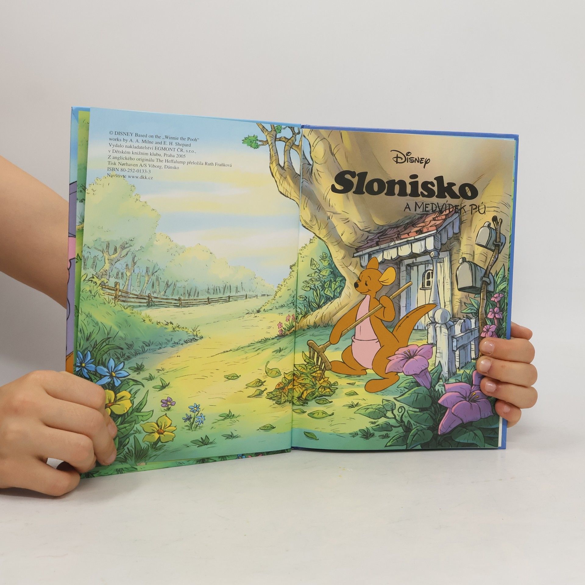 Ruth Fraňková Slonisko a Medvídek Pú