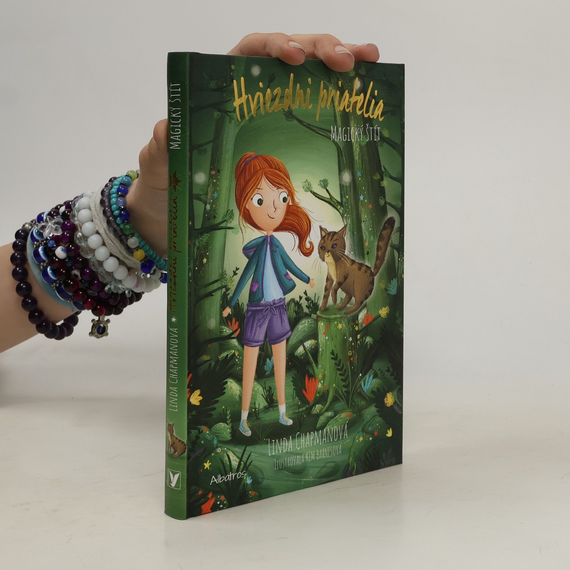 Linda Chapman Hviezdni priatelia: Magický štít