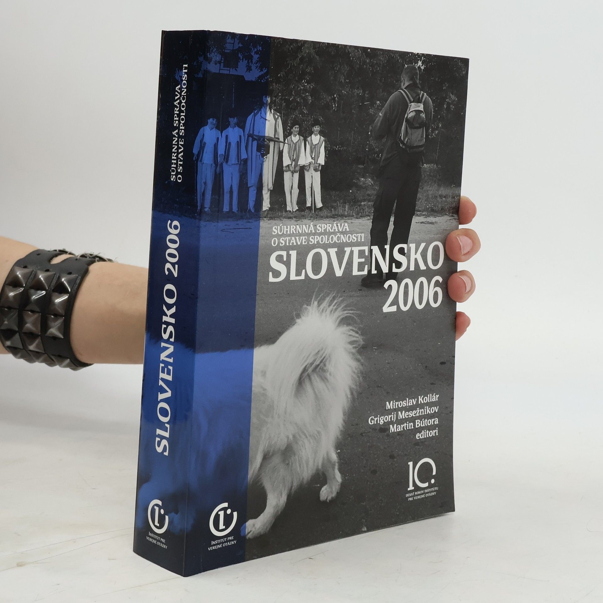 Súhrnná správa o stave spoločnosti. Slovensko 2006