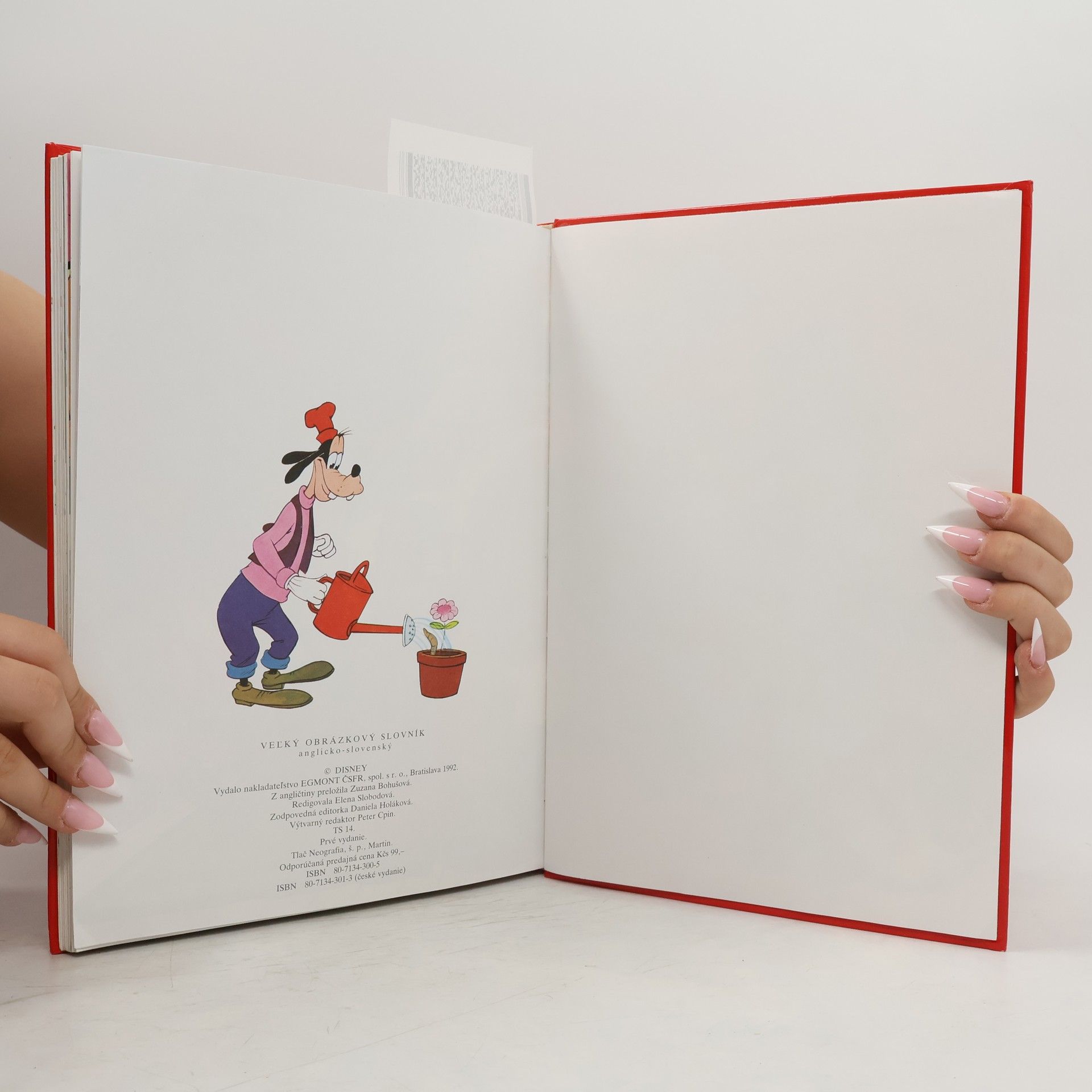 Walt Disney Vel’ký obrázkový slovník anglicko - slovenský